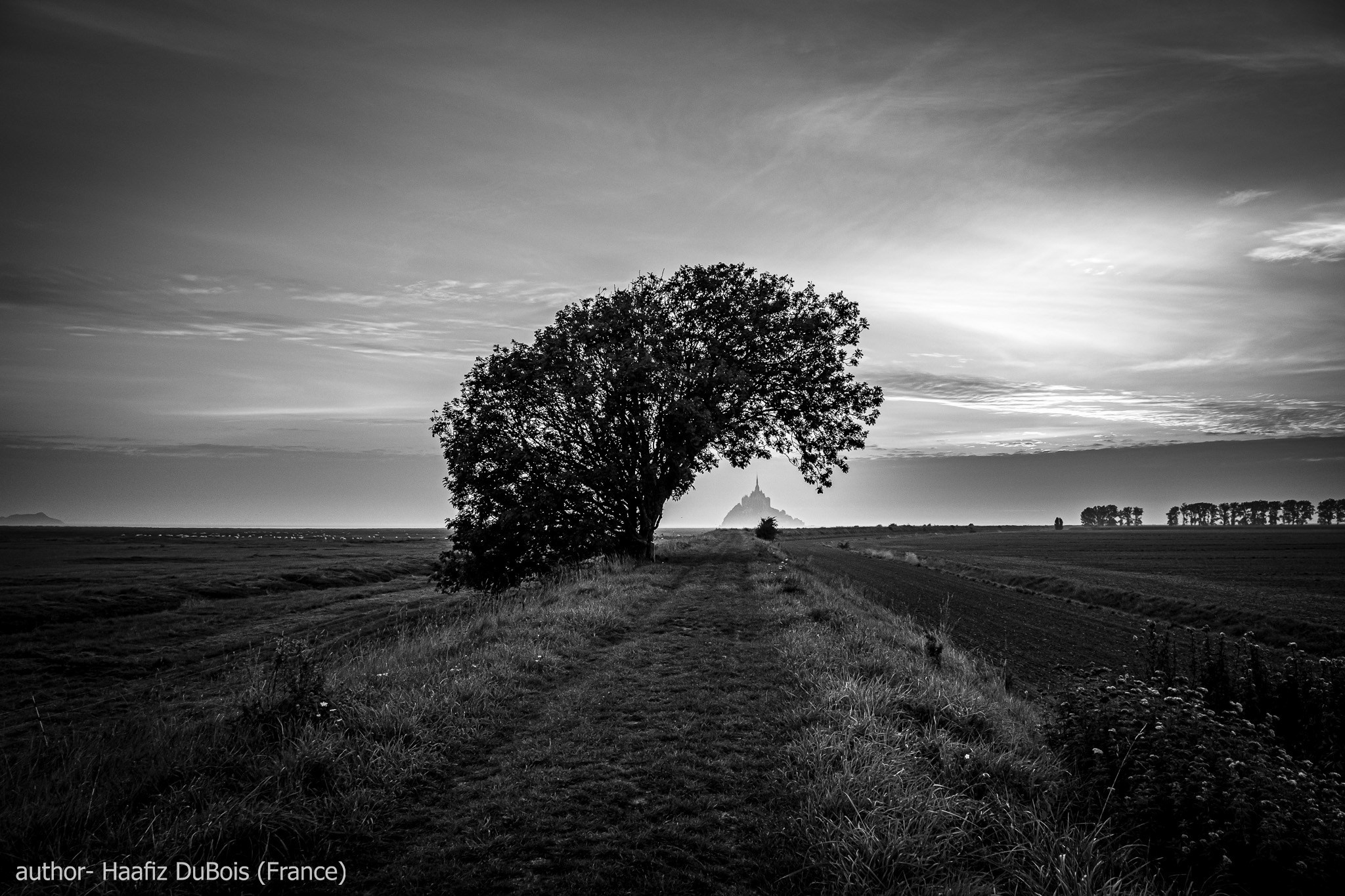 Gallery. UNUSUAL TALENT magazine