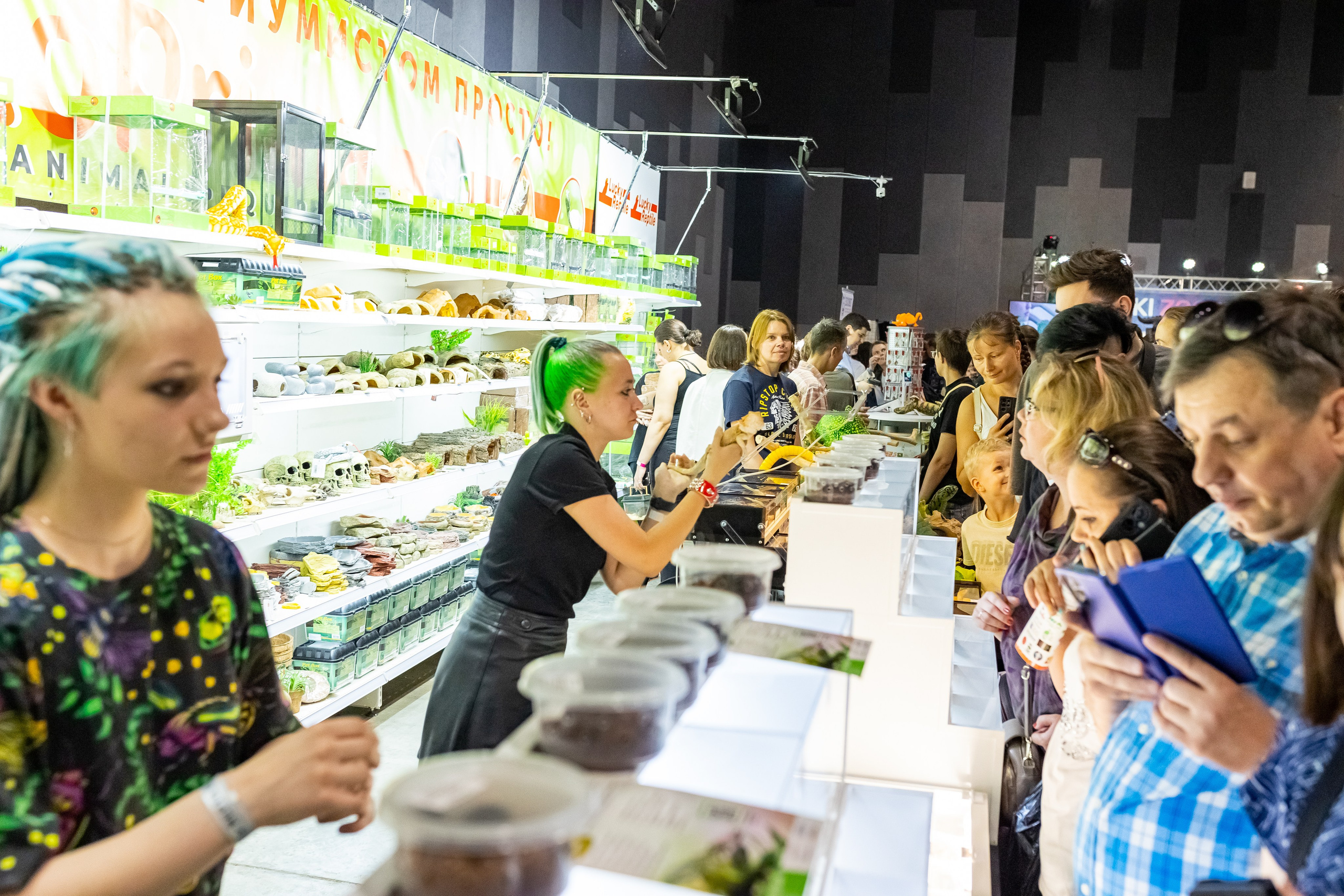 Рептилиум 2024. Александра Куликова фотограф, Москва