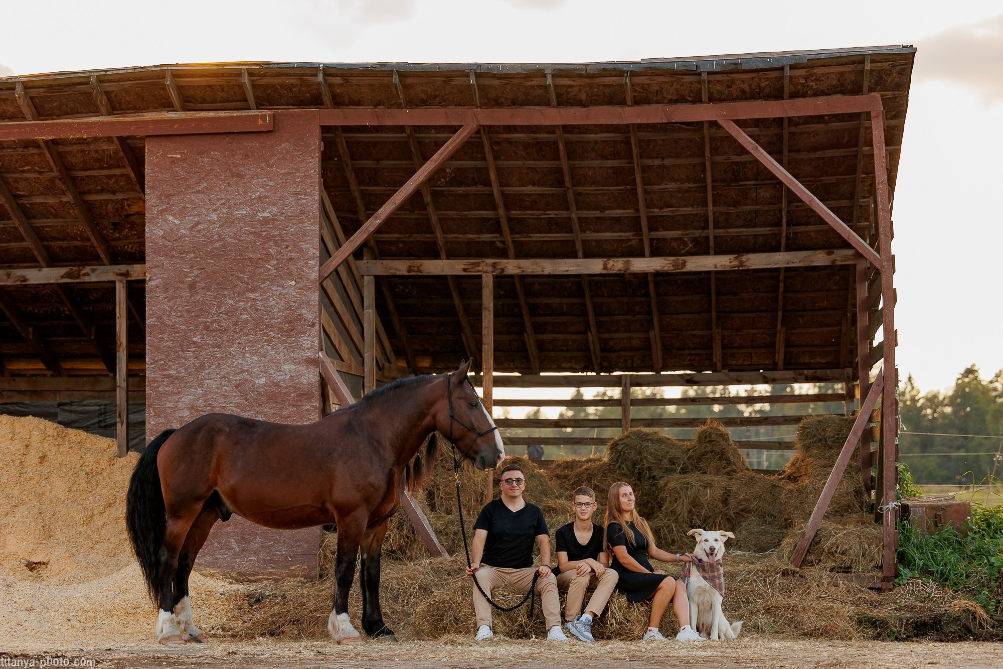 Закатная семейная фотосессия: про Настю и её дружную семью. Фотограф собак, фотограф-анималист Аня Титова (Titanya). Москва