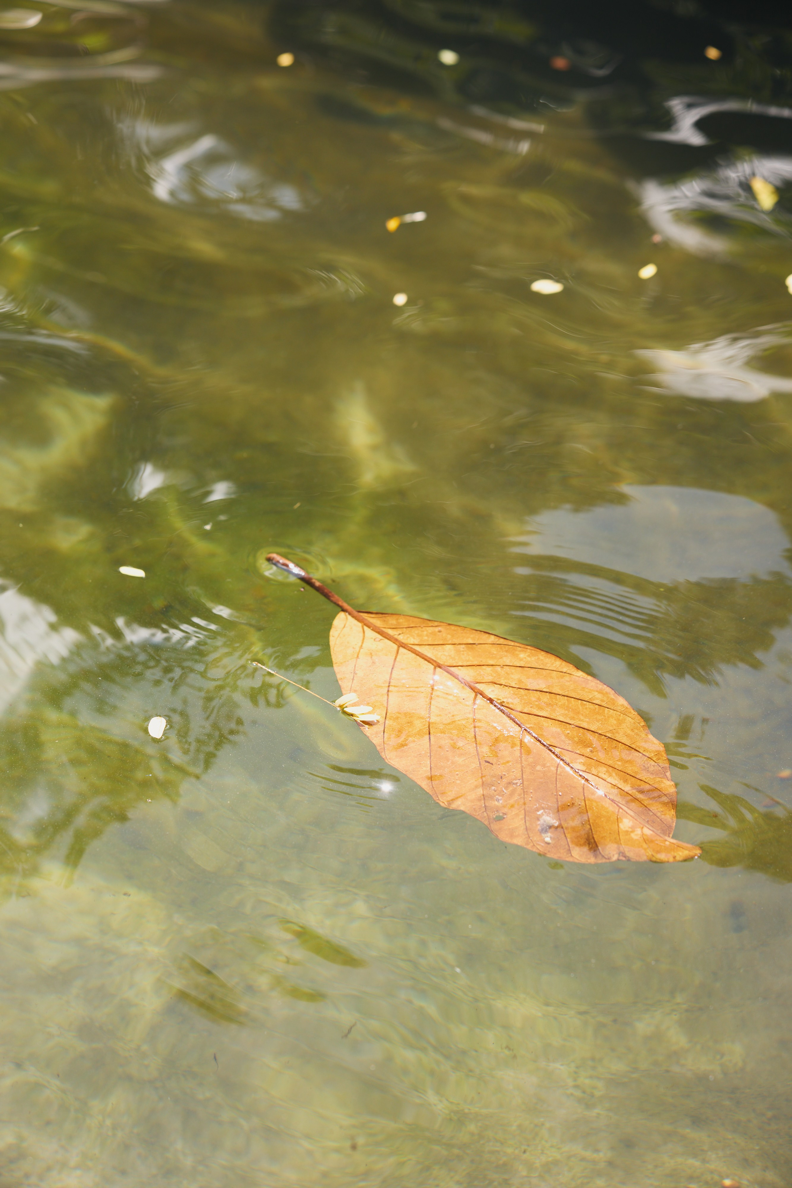 Ретрит Бали '26 «Be Your Own Muse»Март. Профессиональный фотограф Татьяна Евглевская