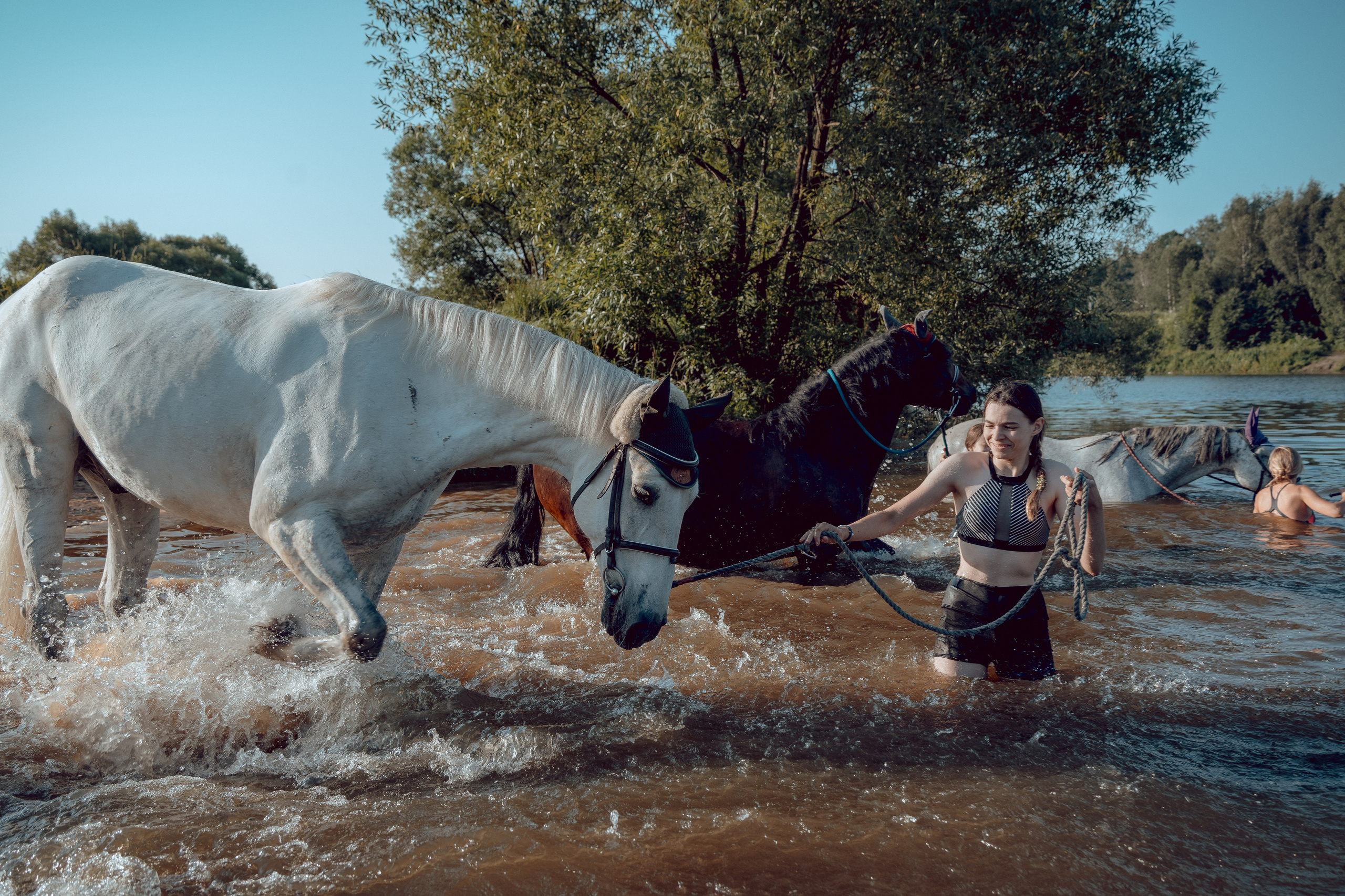 Купание лошадей 05.07.2024. Портретный и семейный фотограф в Москве/Видное