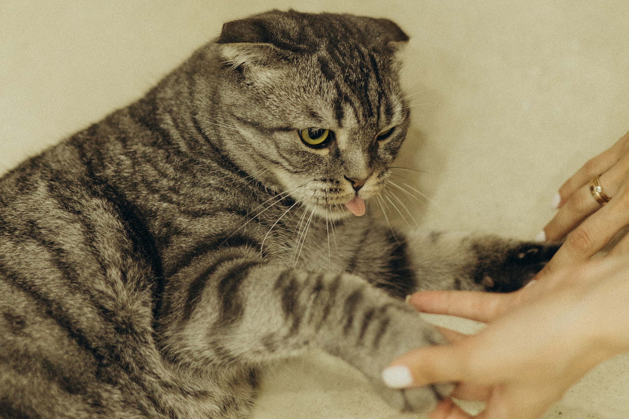 Дом там, где любовь♡. Фотограф в г. Чита