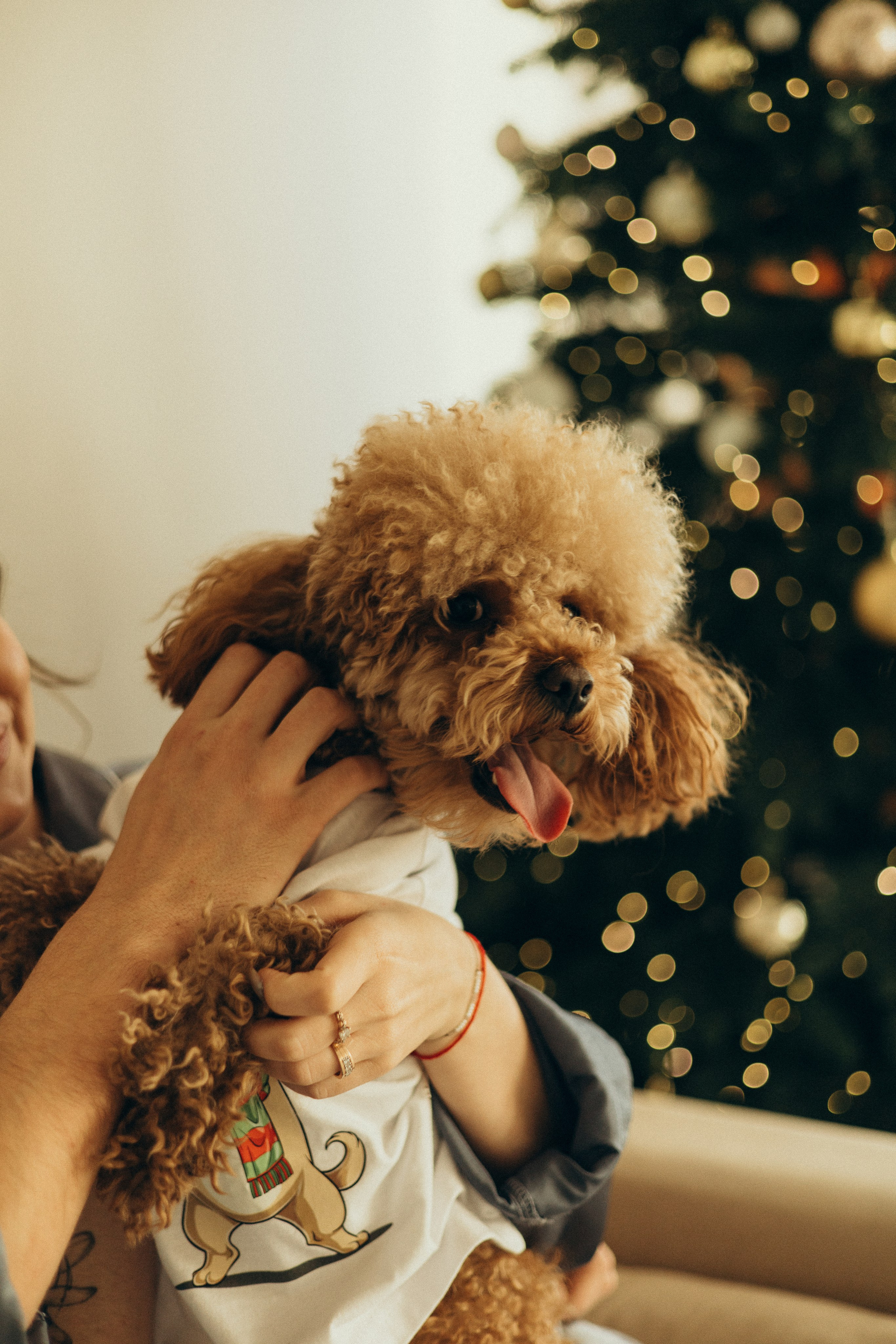 Ваня, Настя, Тедди ♡. Фотограф в г. Чита