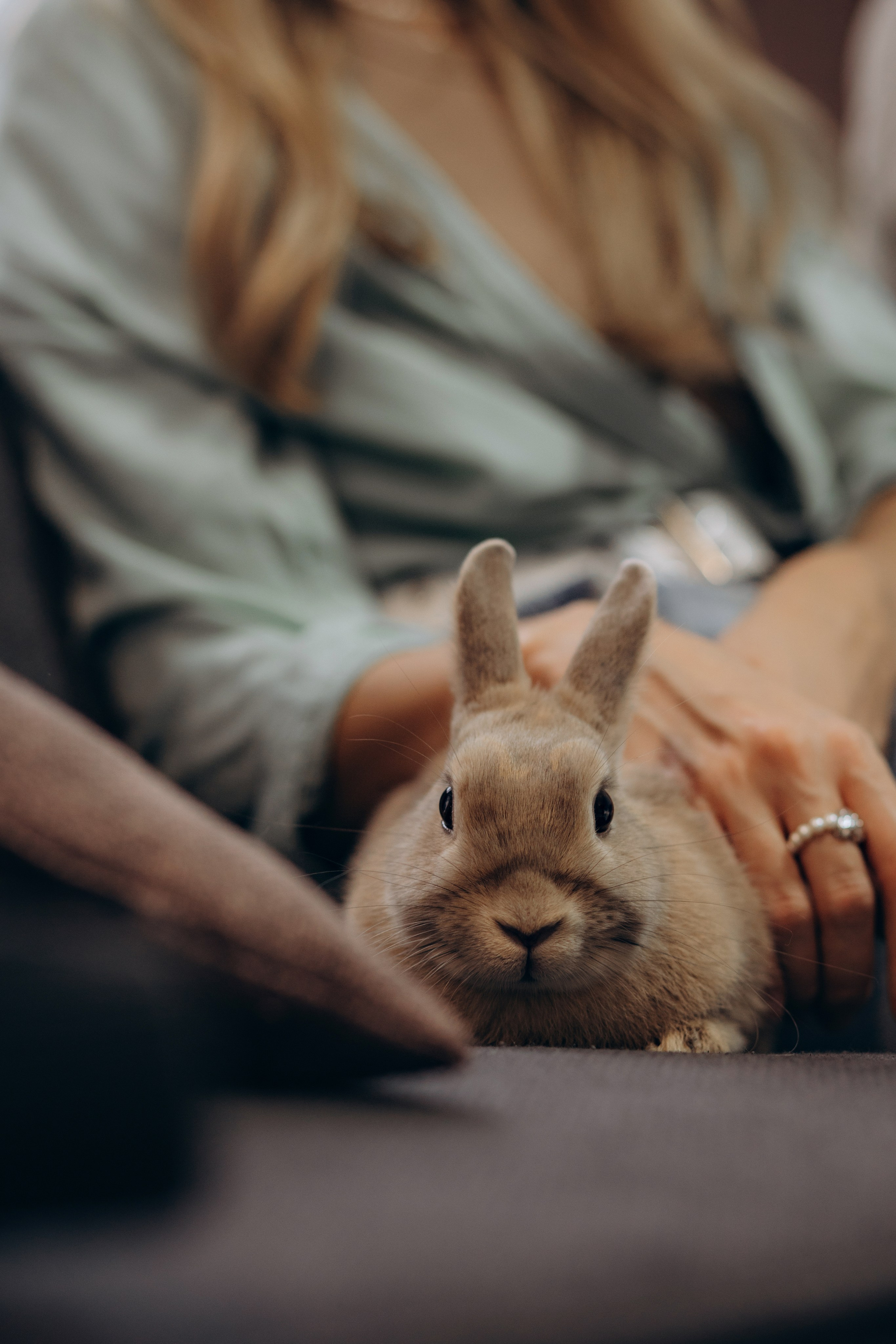 «Ушастые истории». Фотограф Алина Ионычева в Новосибирске