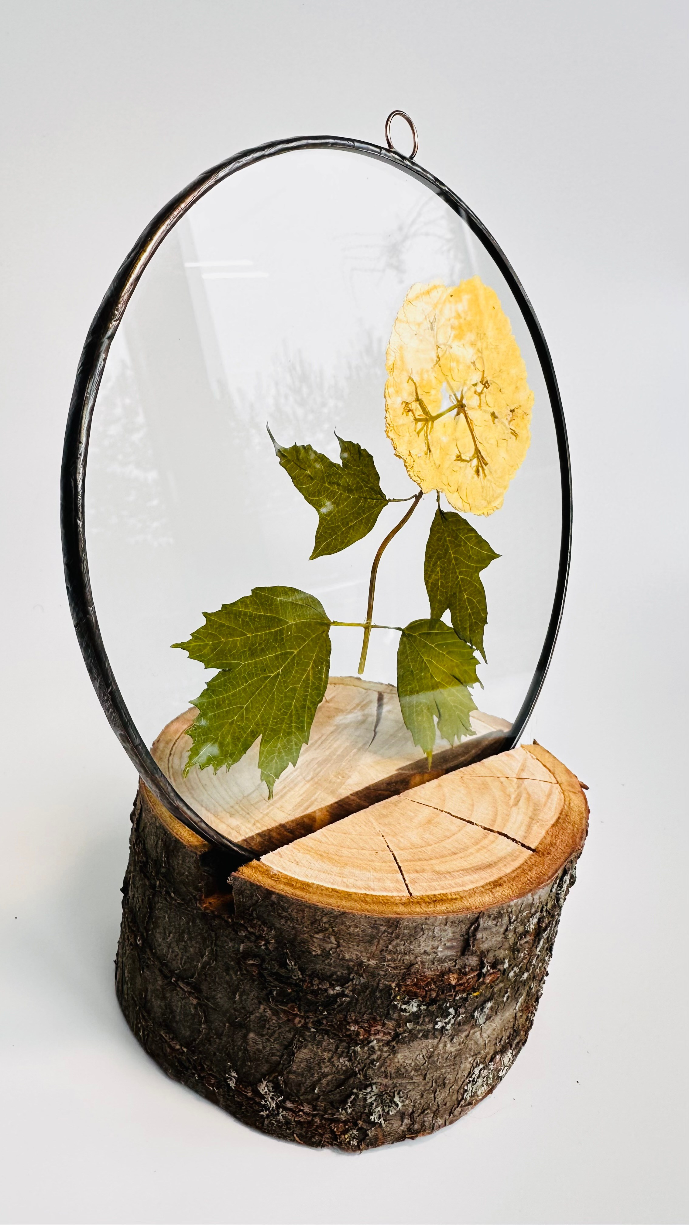 Гербарий в стекле с сухоцветами (витраж в технике тиффани). Гербарий в стекле, интерьерные панно, витражи с сухоцветами в технике тиффани