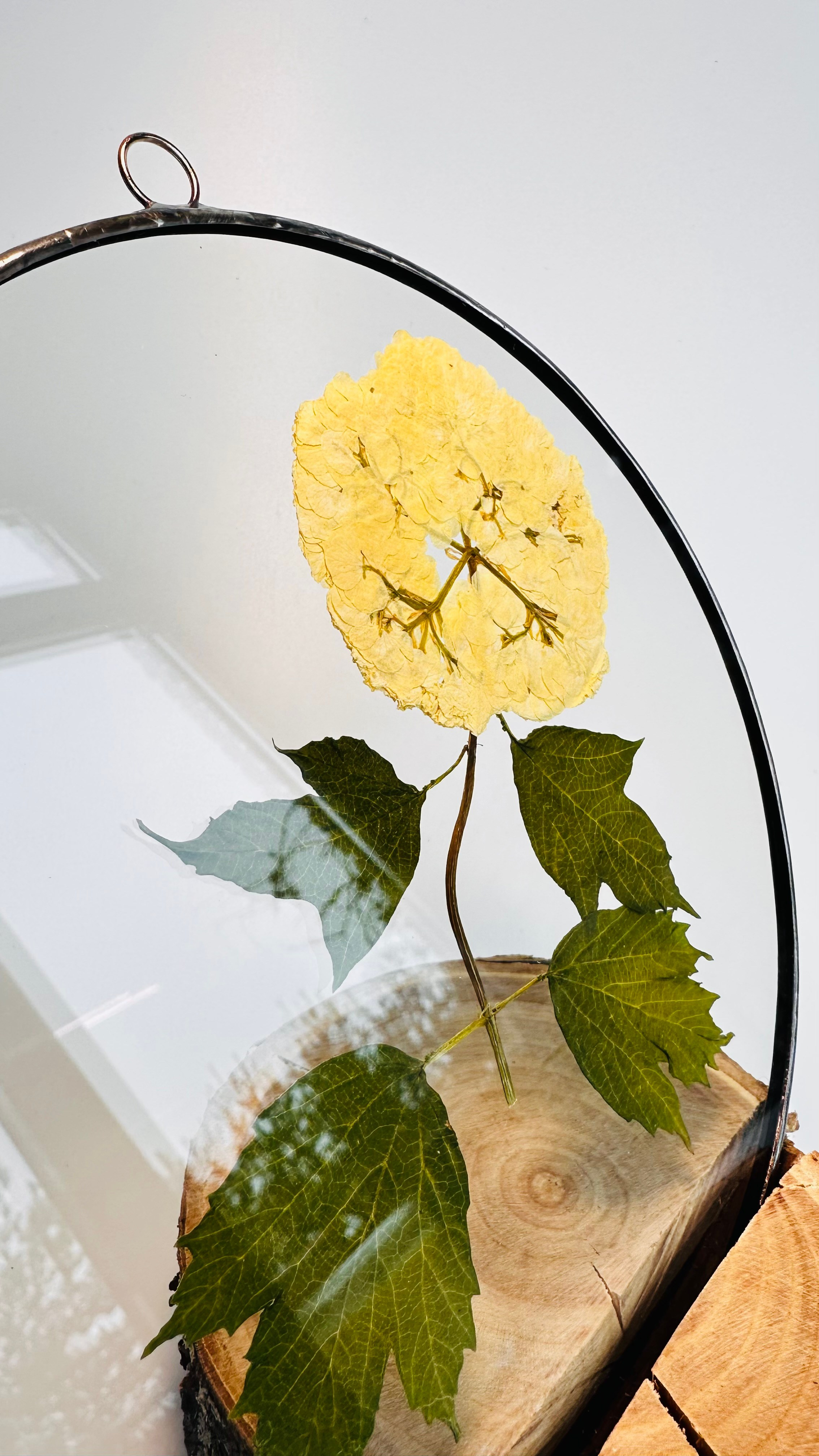 Гербарий в стекле с сухоцветами (витраж в технике тиффани). Гербарий в стекле, интерьерные панно, витражи с сухоцветами в технике тиффани