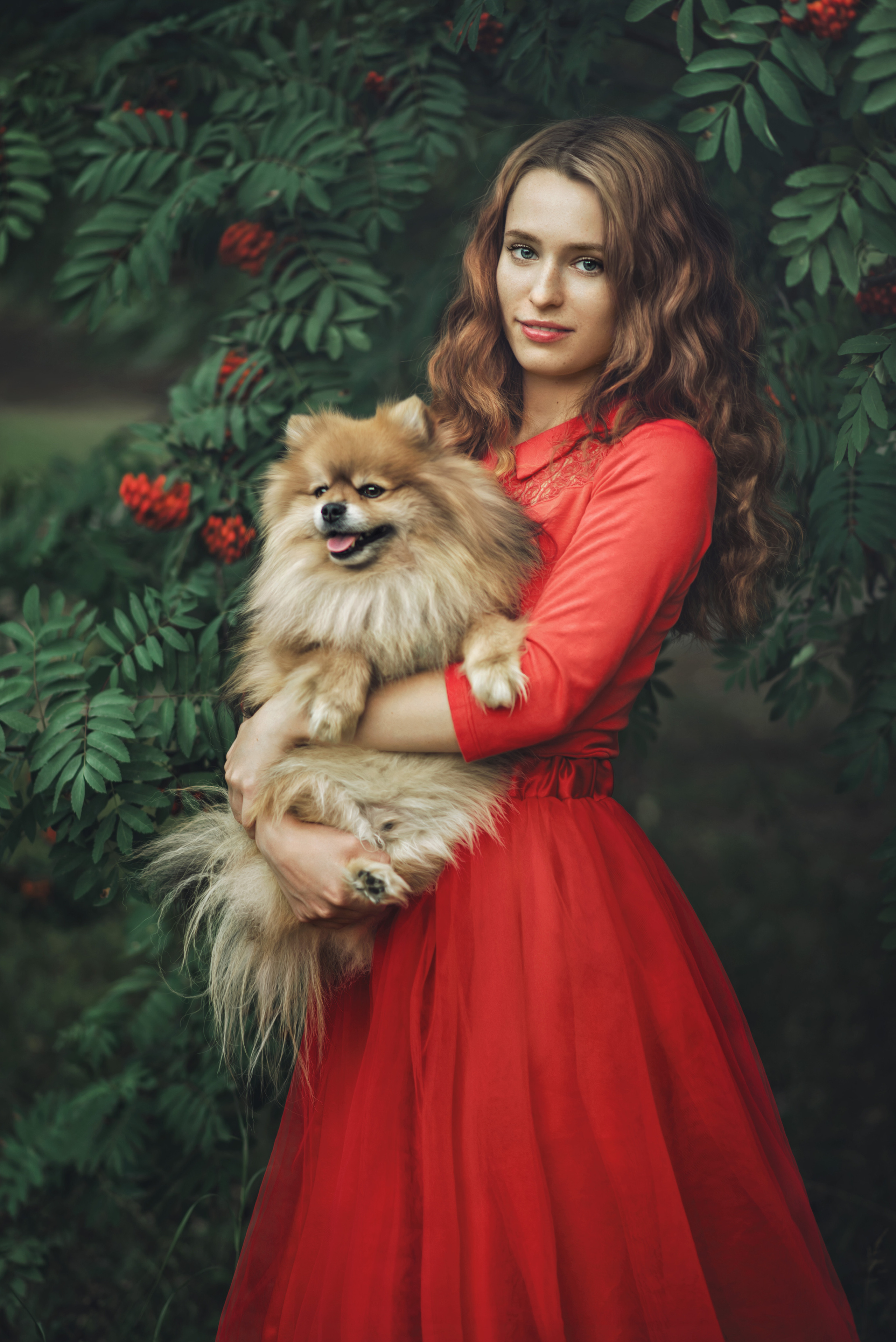 Рябина. Фотограф  г. Миасс, г. Челябинск