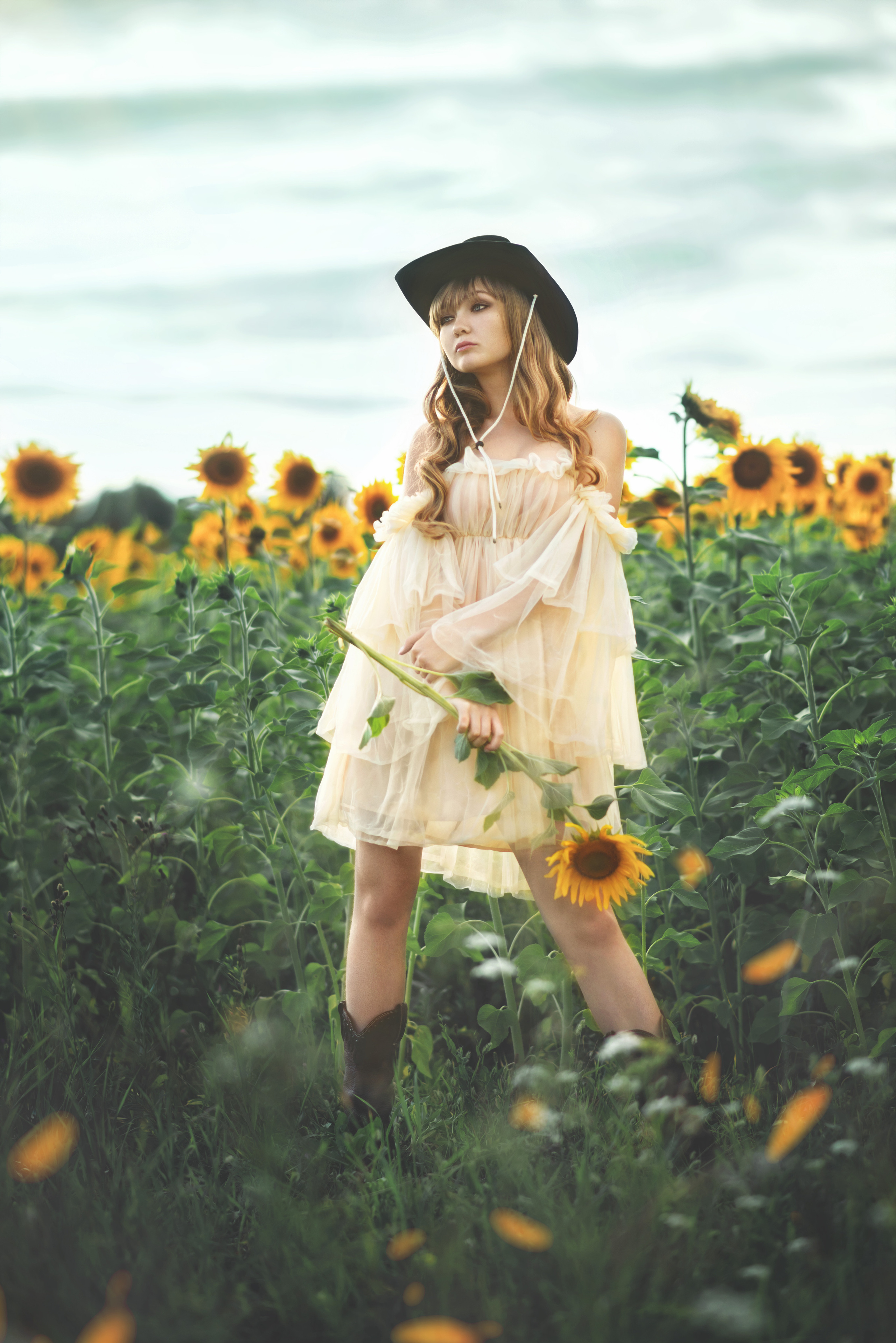 Подсолнухи. Фотограф  г. Миасс, г. Челябинск