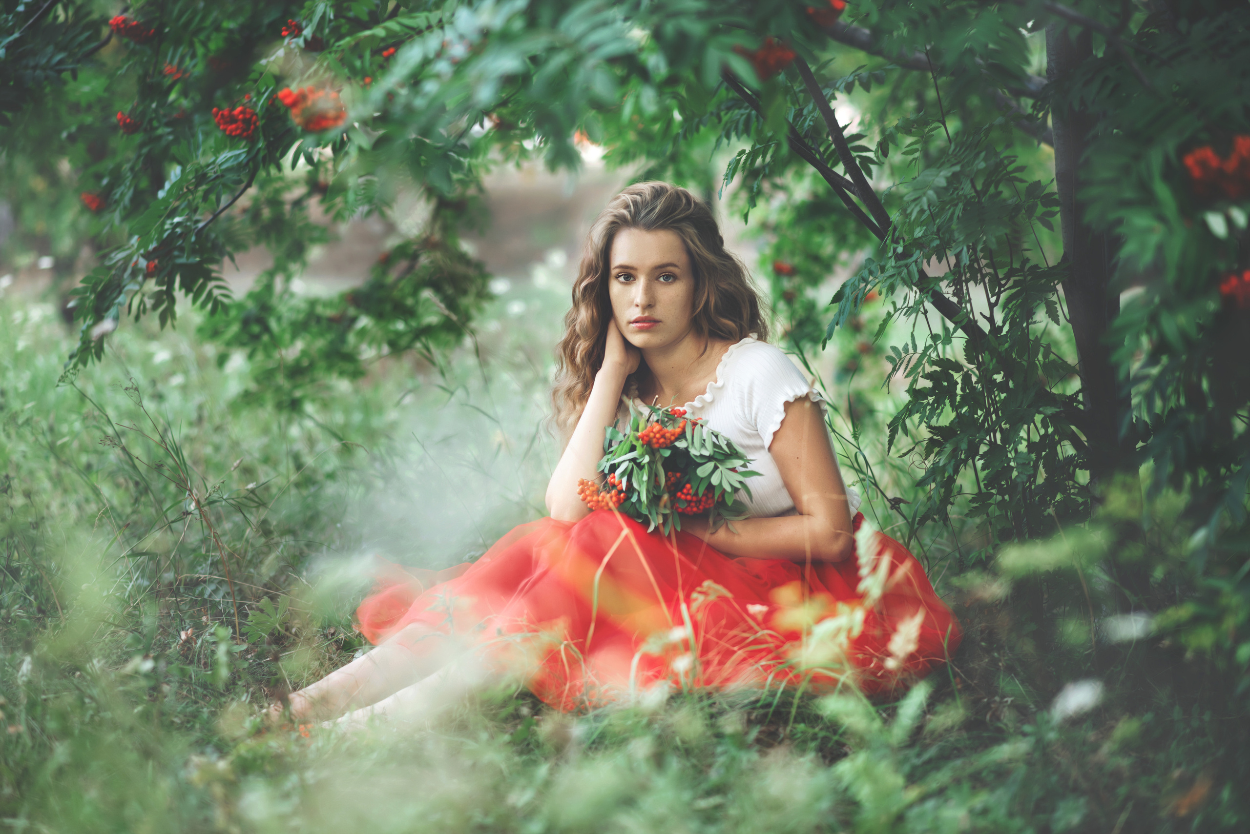 Рябина. Фотограф  г. Миасс, г. Челябинск