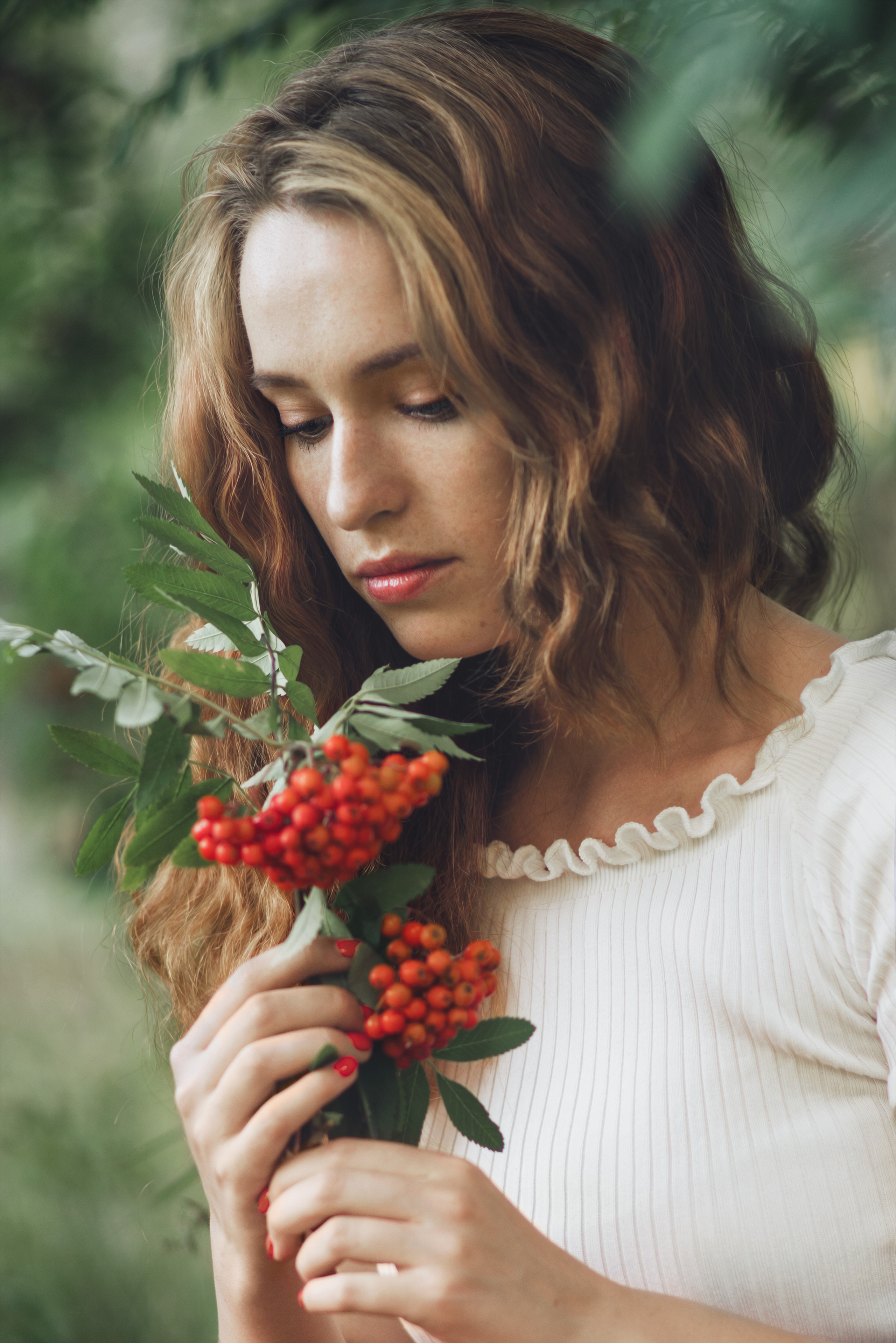 Рябина. Фотограф  г. Миасс, г. Челябинск