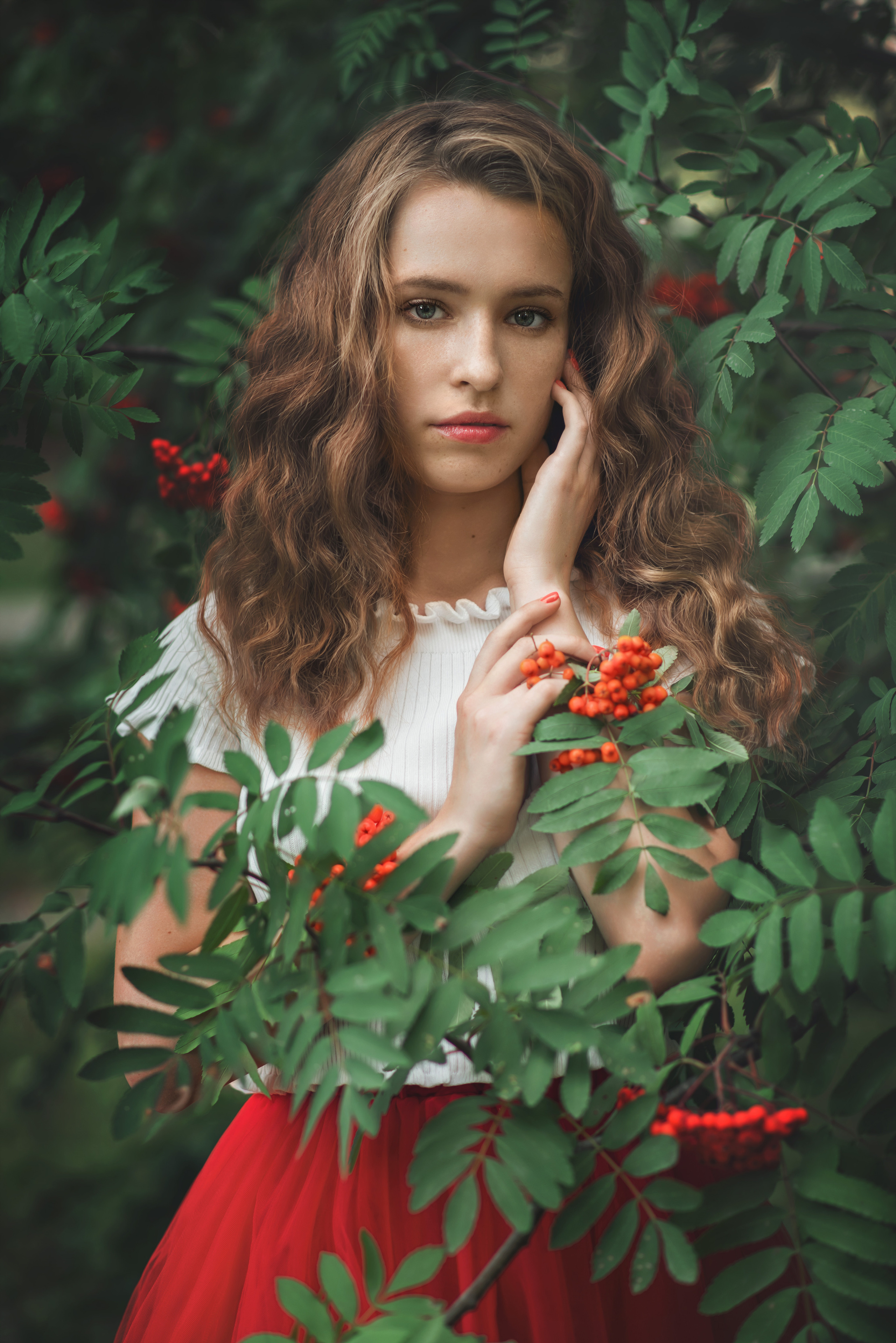 Рябина. Фотограф  г. Миасс, г. Челябинск