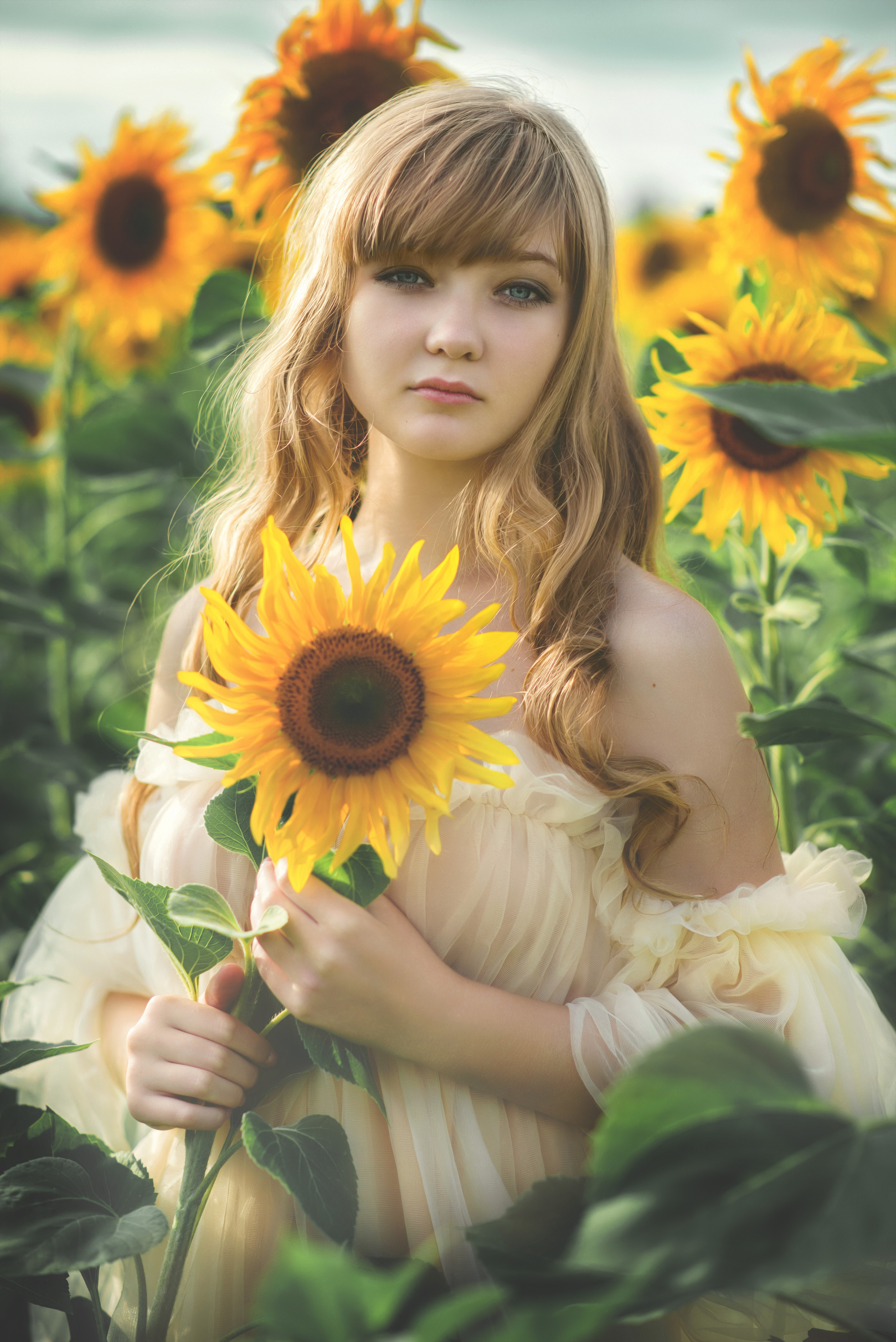 Подсолнухи. Фотограф  г. Миасс, г. Челябинск