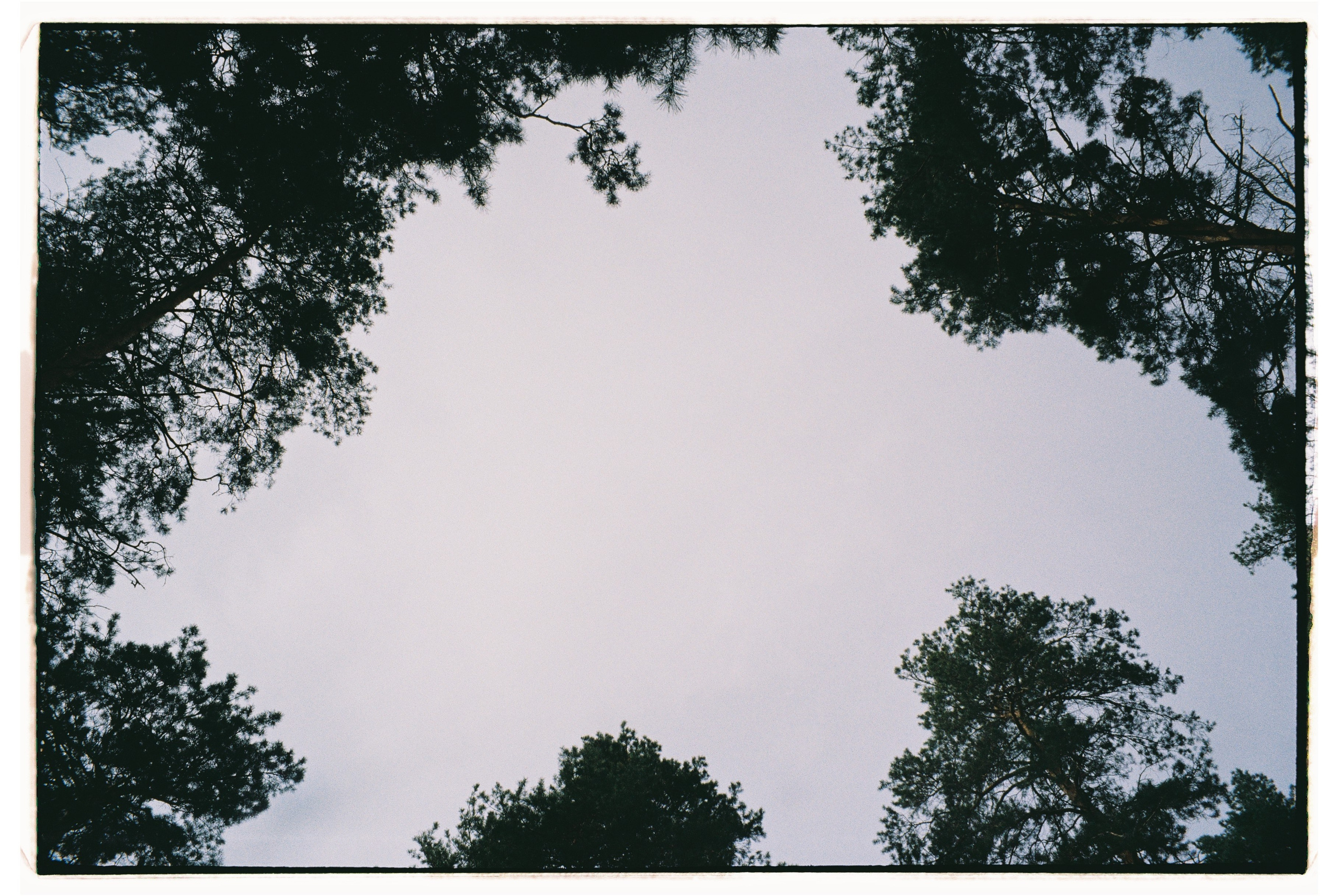 Пленочная фотография. ТАТИ | Татьяна Тихонова | фотограф | Тольятти Самара