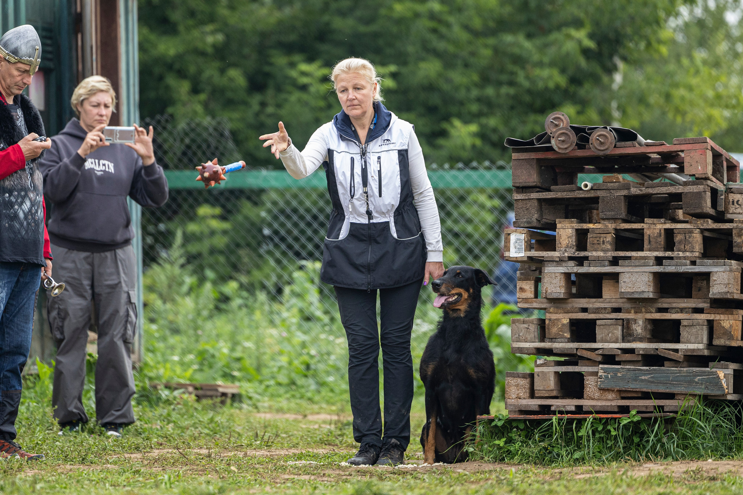 Соревнования по Мондьорингу г. Вологда 10-11.08.2024. Фотограф-анималист Анна Маринич