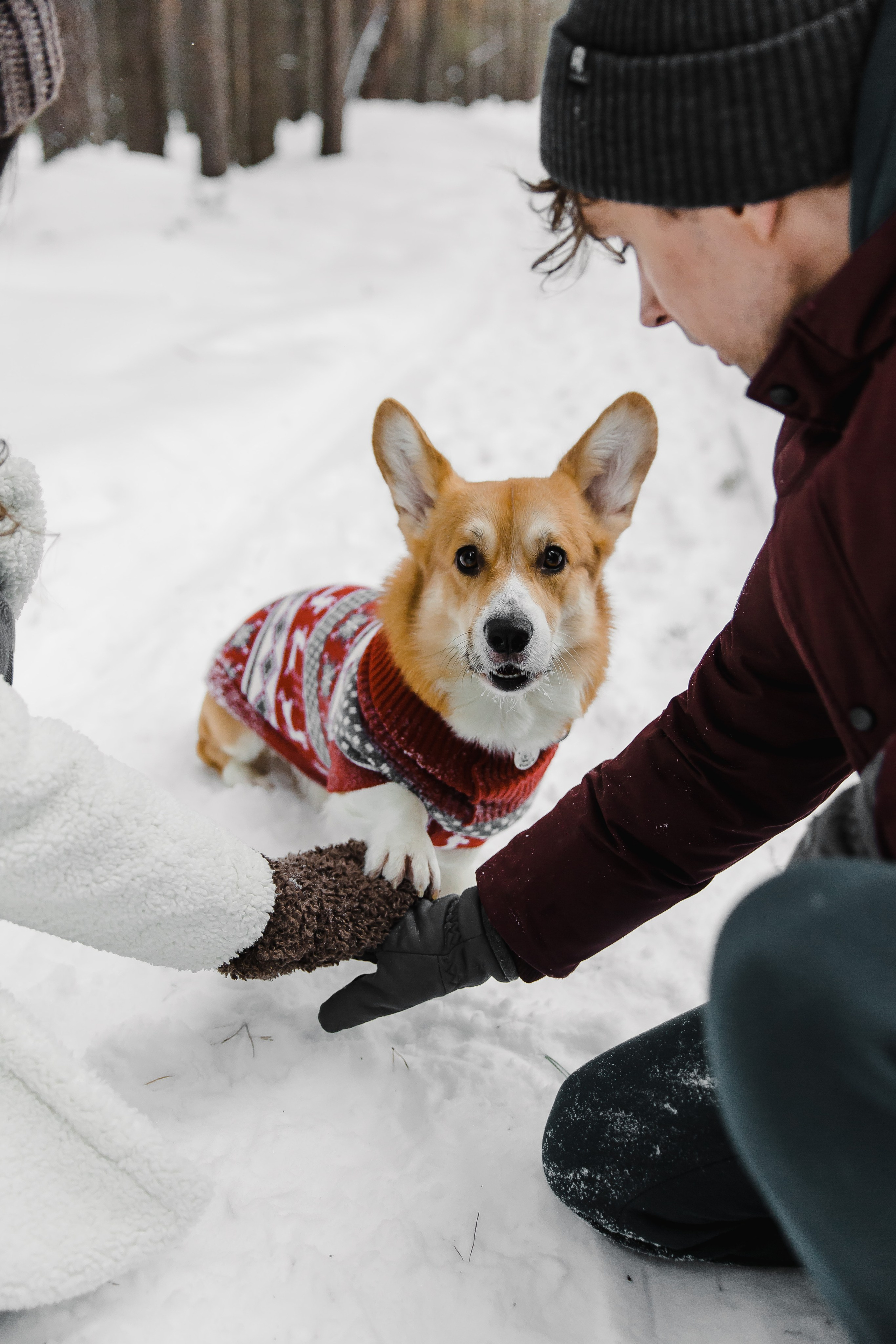 Дима и Даша. Свадебный и семейный фотограф в Томске Алексей
