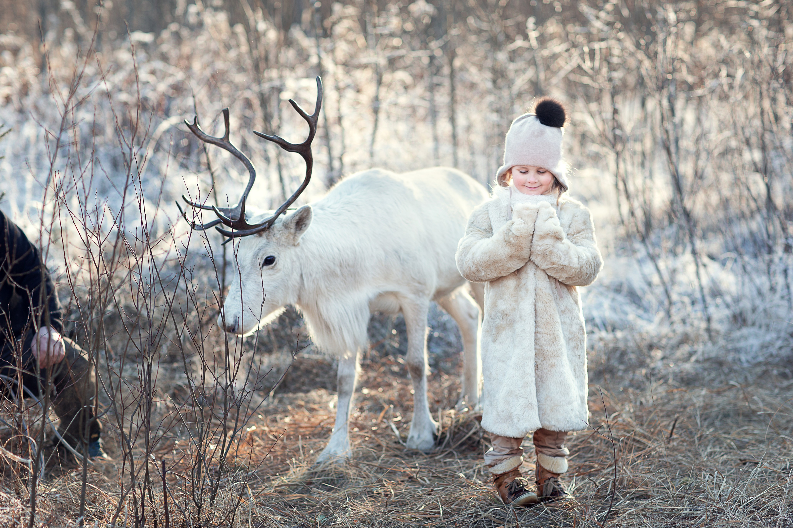 Портфолио. Карнеева Елена. Детский, семейный фотограф