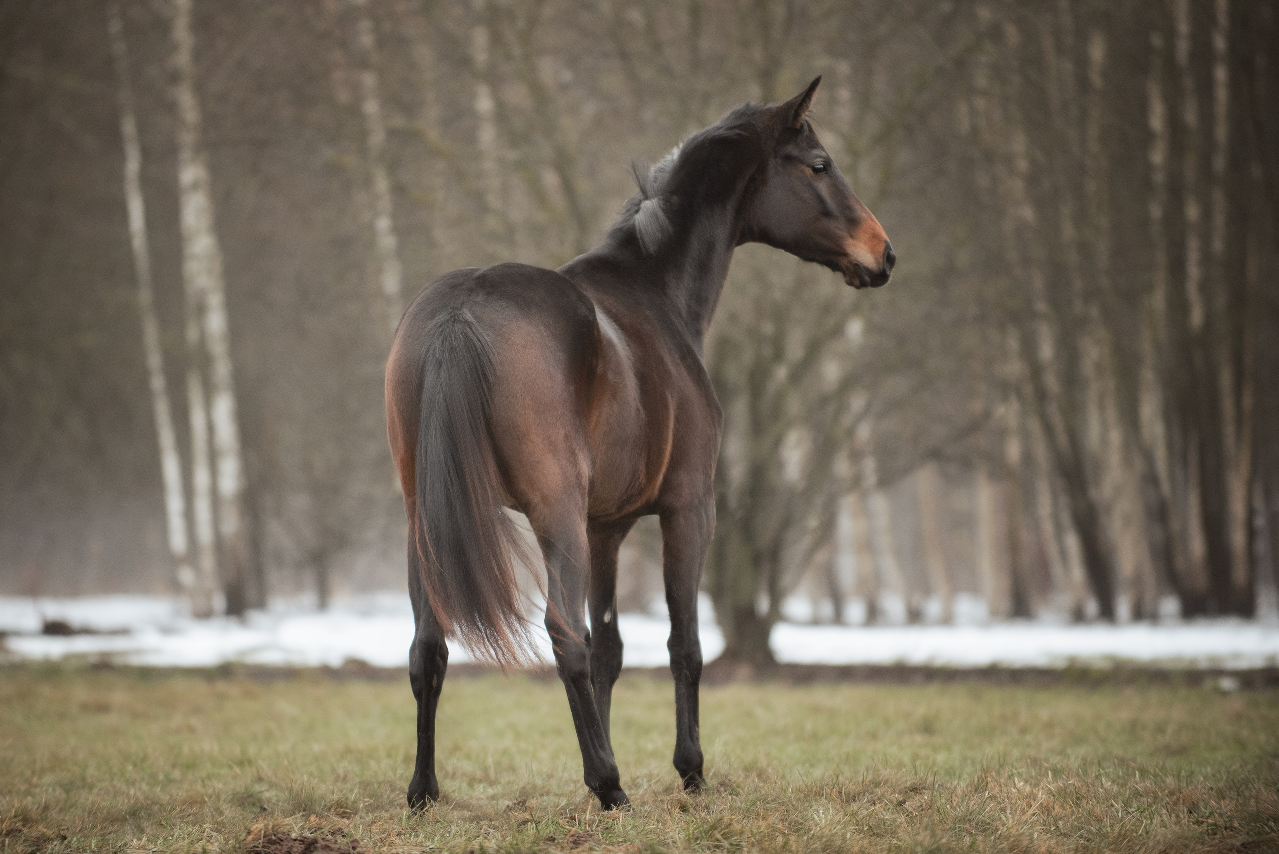 Мелкаши ЮНА. Куракина Дарья • Конный фотограф