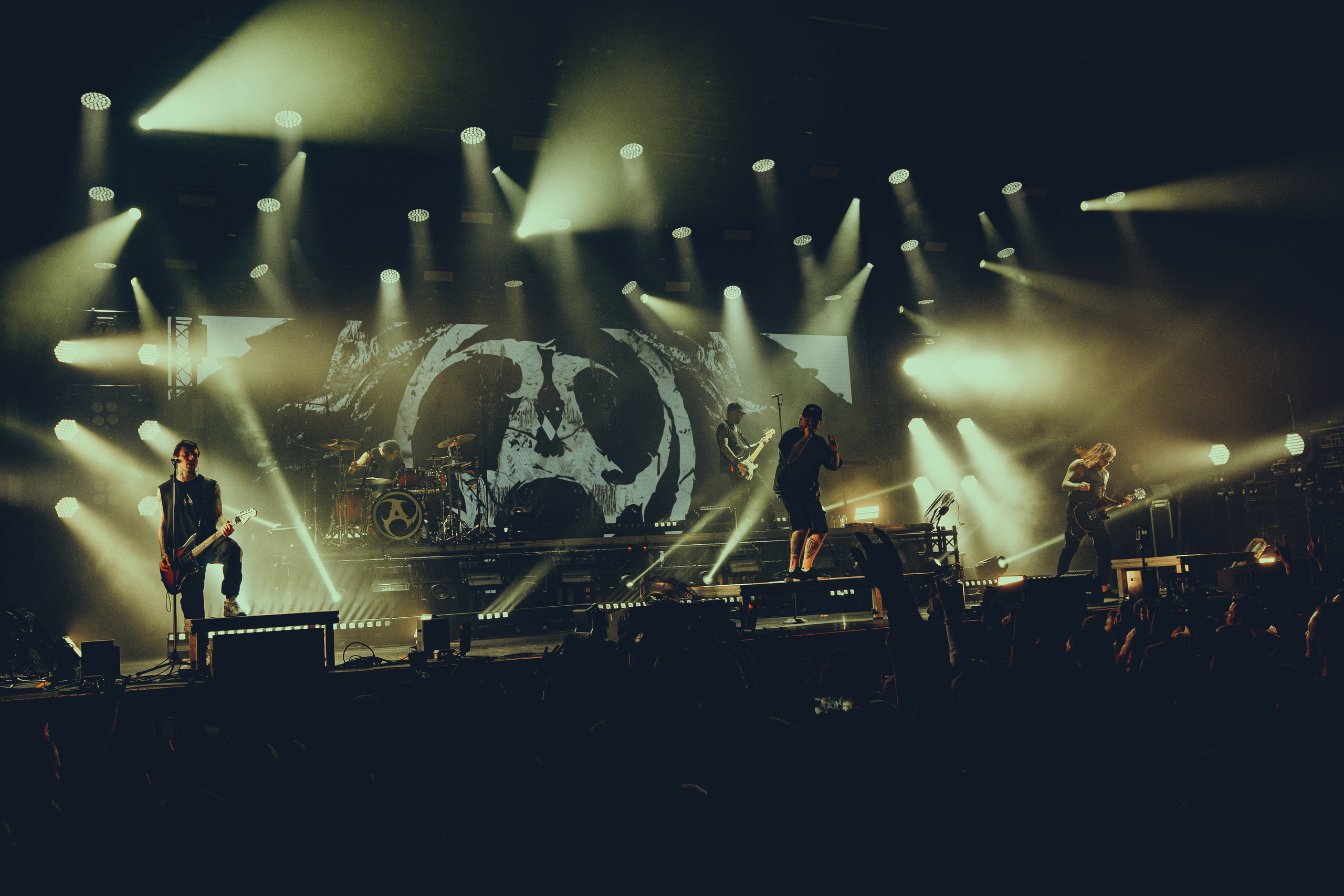 Amatory 22.11.2025. Фотограф Дядя Сник