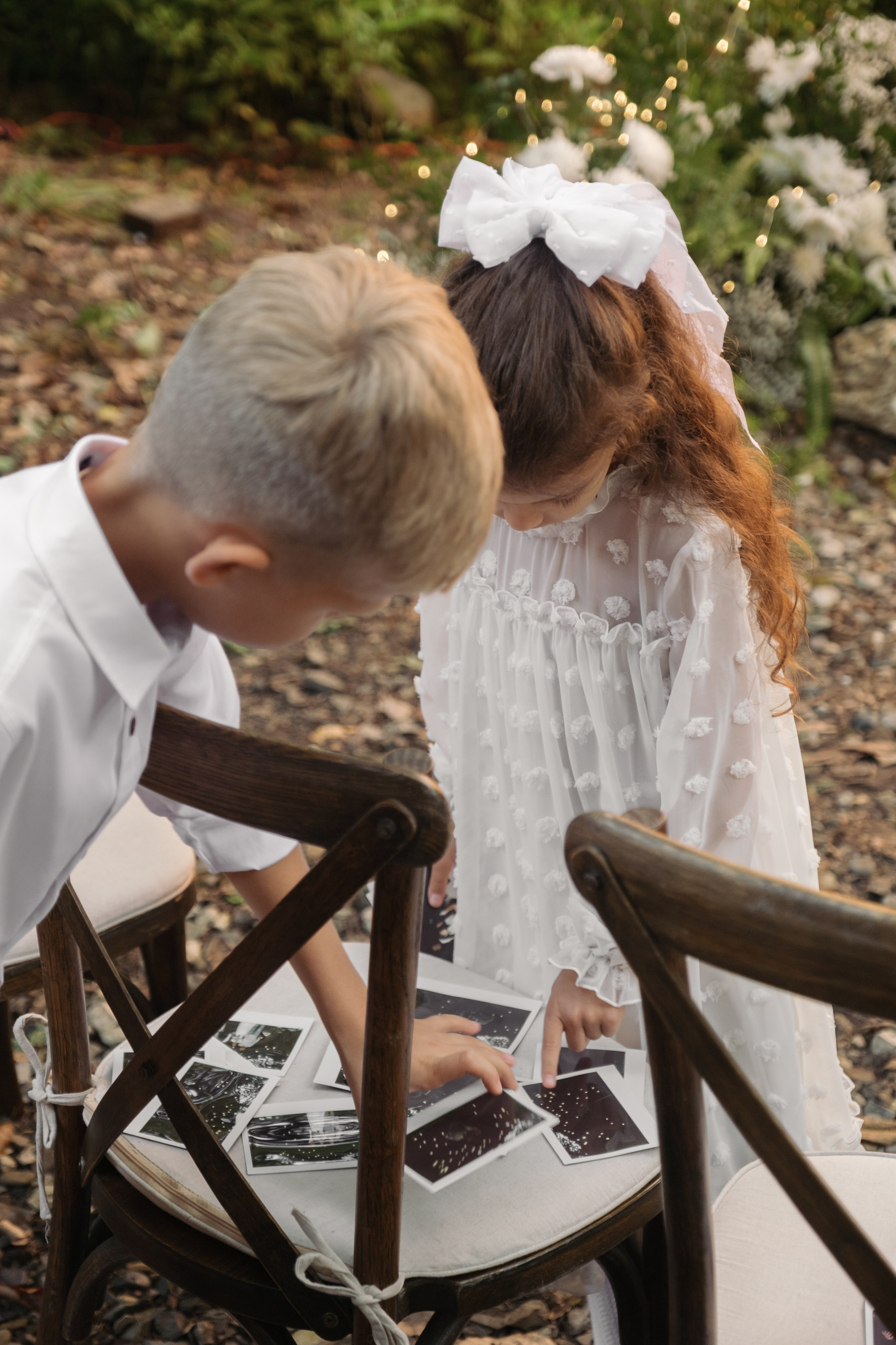 Кот и Дракон. Свадебный Видеограф Фотограф в Сочи