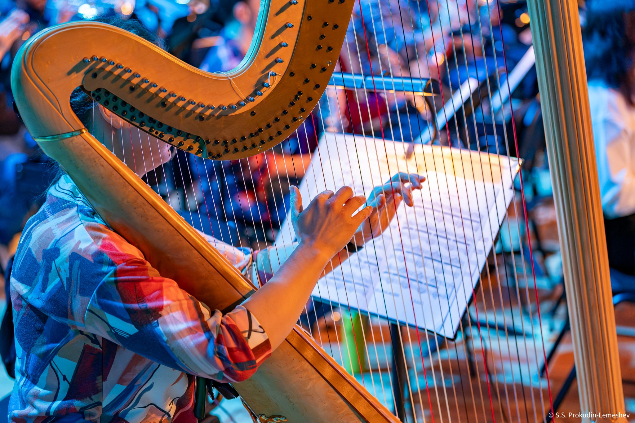 Алексей Рубин. Фотограф. Репортаж. Спорт. Концерты и мероприятия