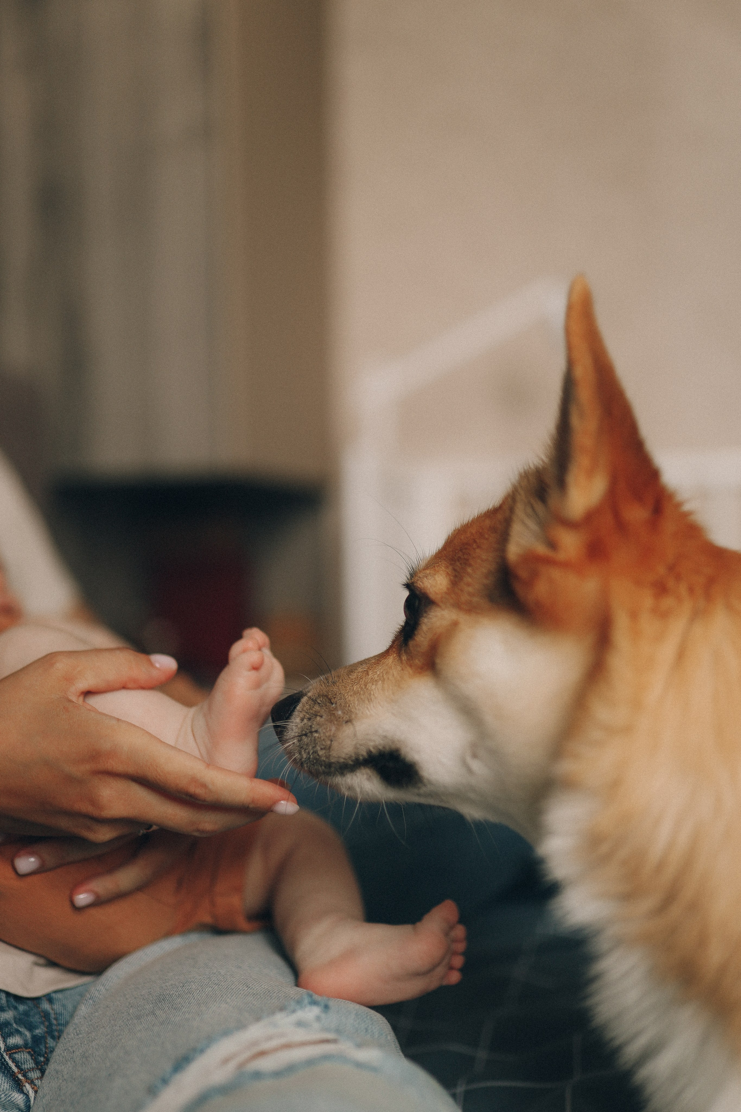 Домашняя фотосессия с малышом. Семейный фотограф Екатеринбург Черепанова Олеся