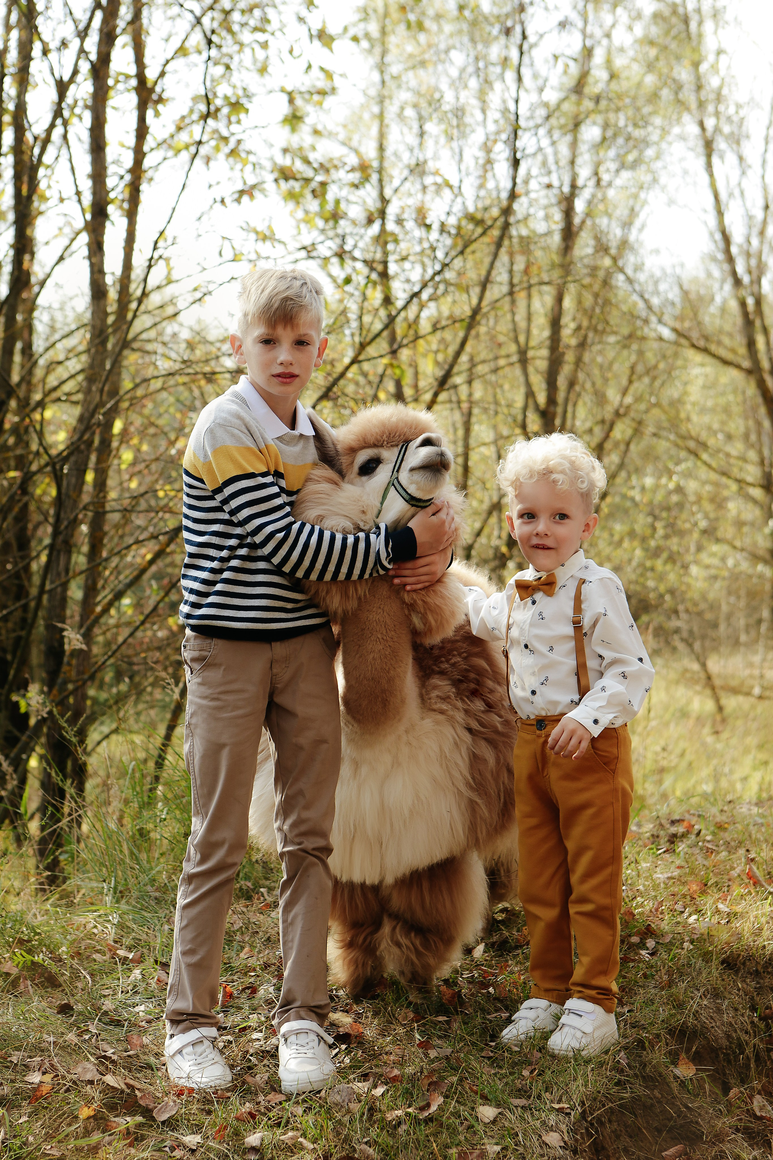 Альпаки. Семейный и детский фотограф в Москве Александра Мак