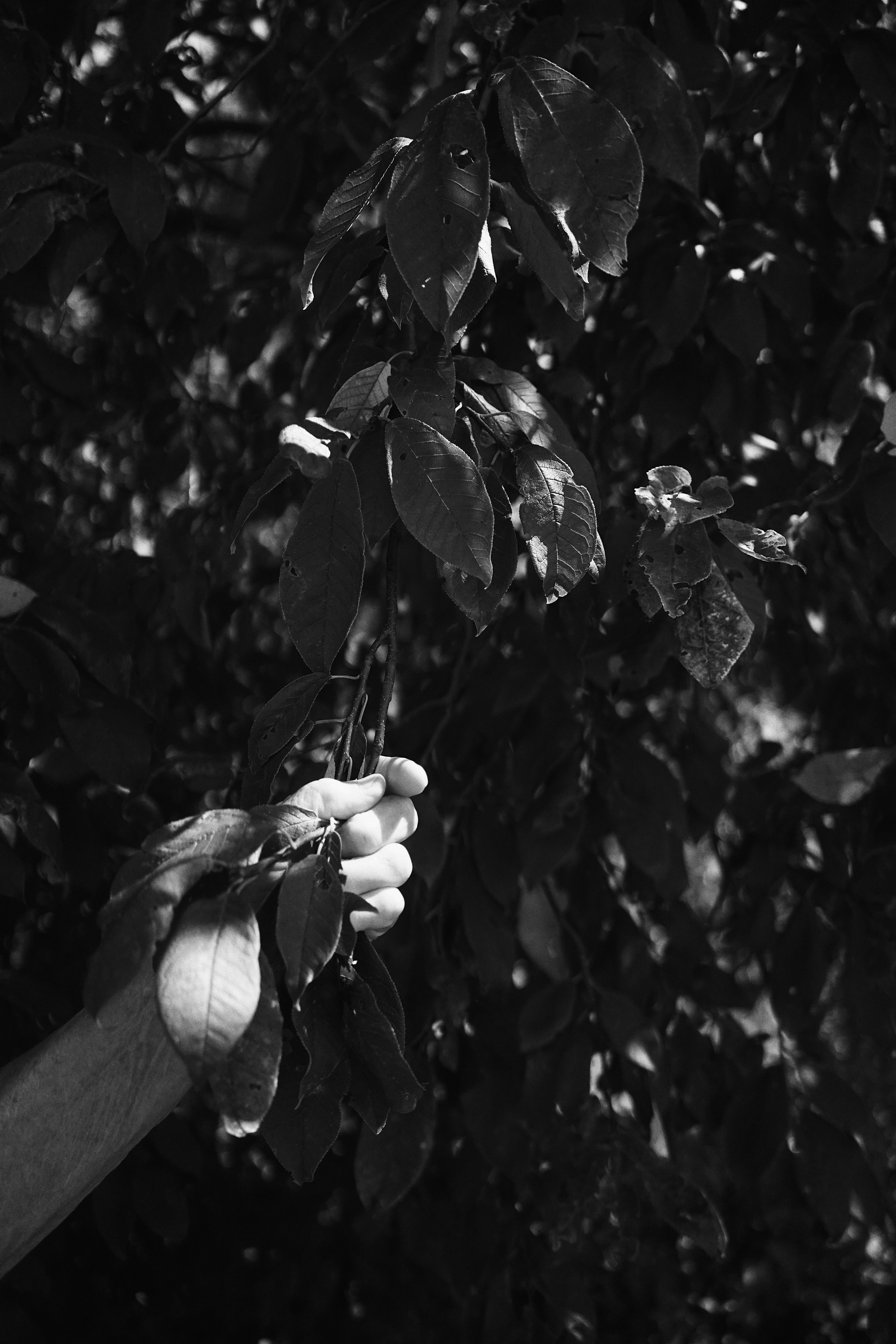 Бабушка. Ксения Копна. Фотограф из Санкт-Петербурга