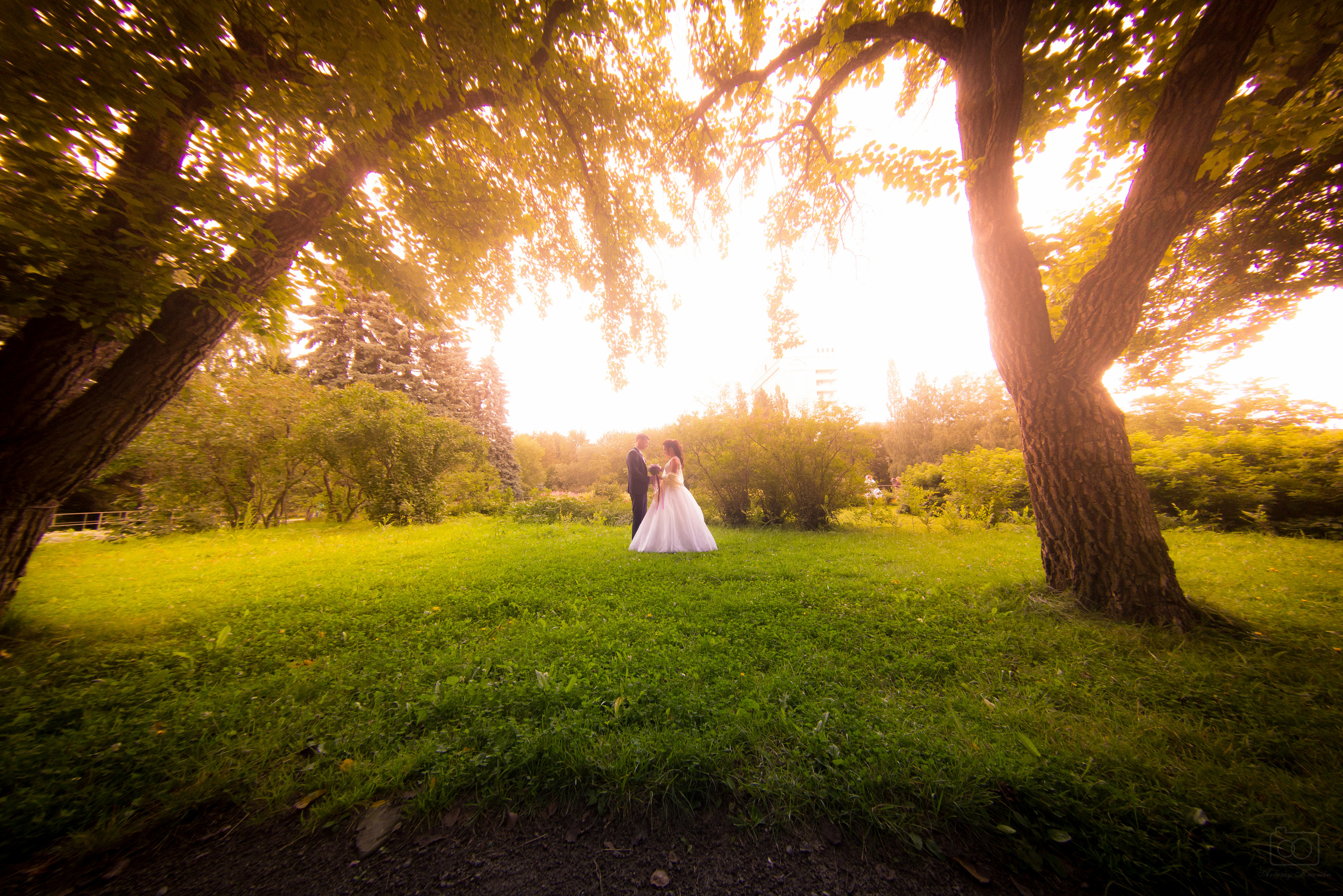 Свадебное. Фотограф