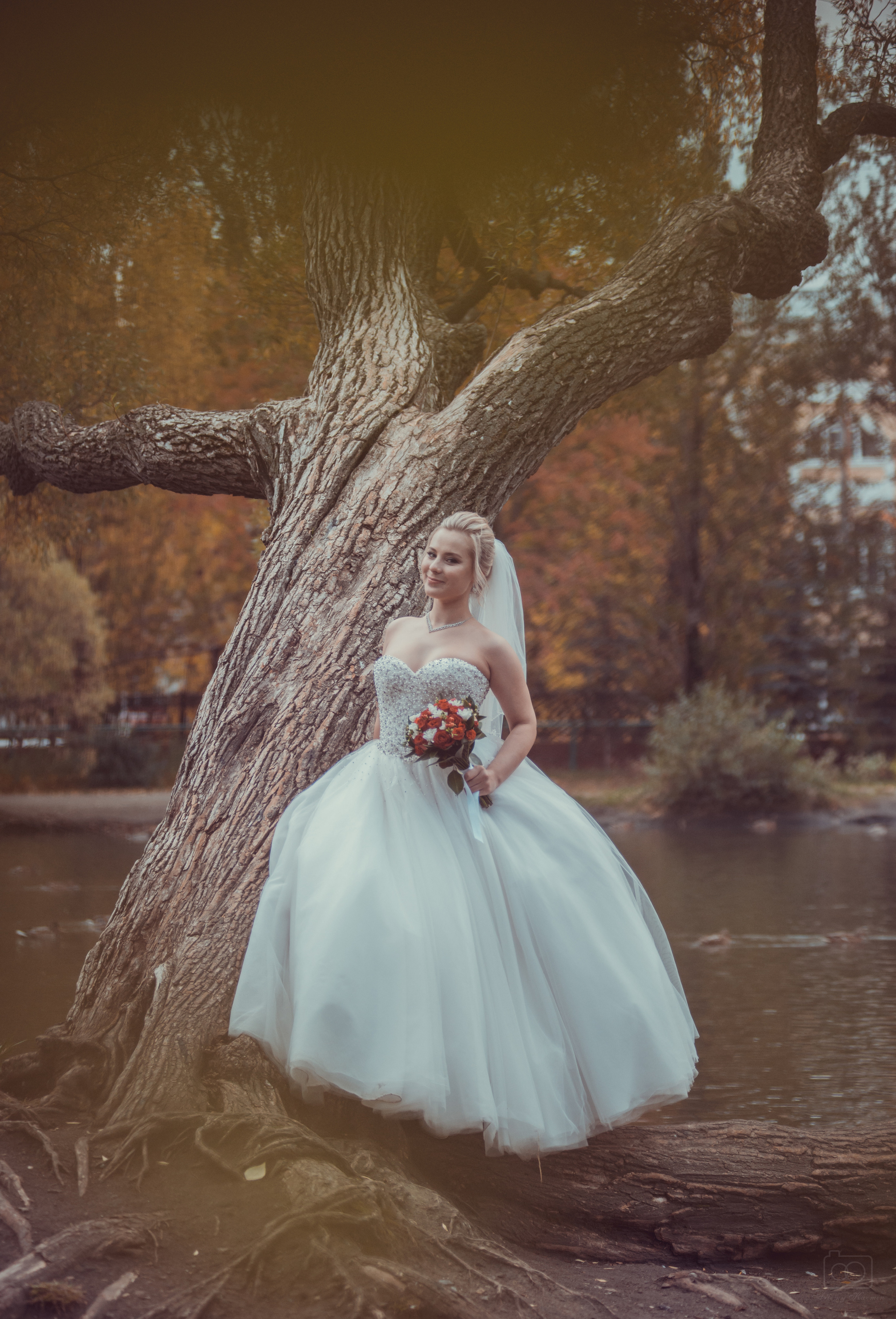 Свадебное. Фотограф