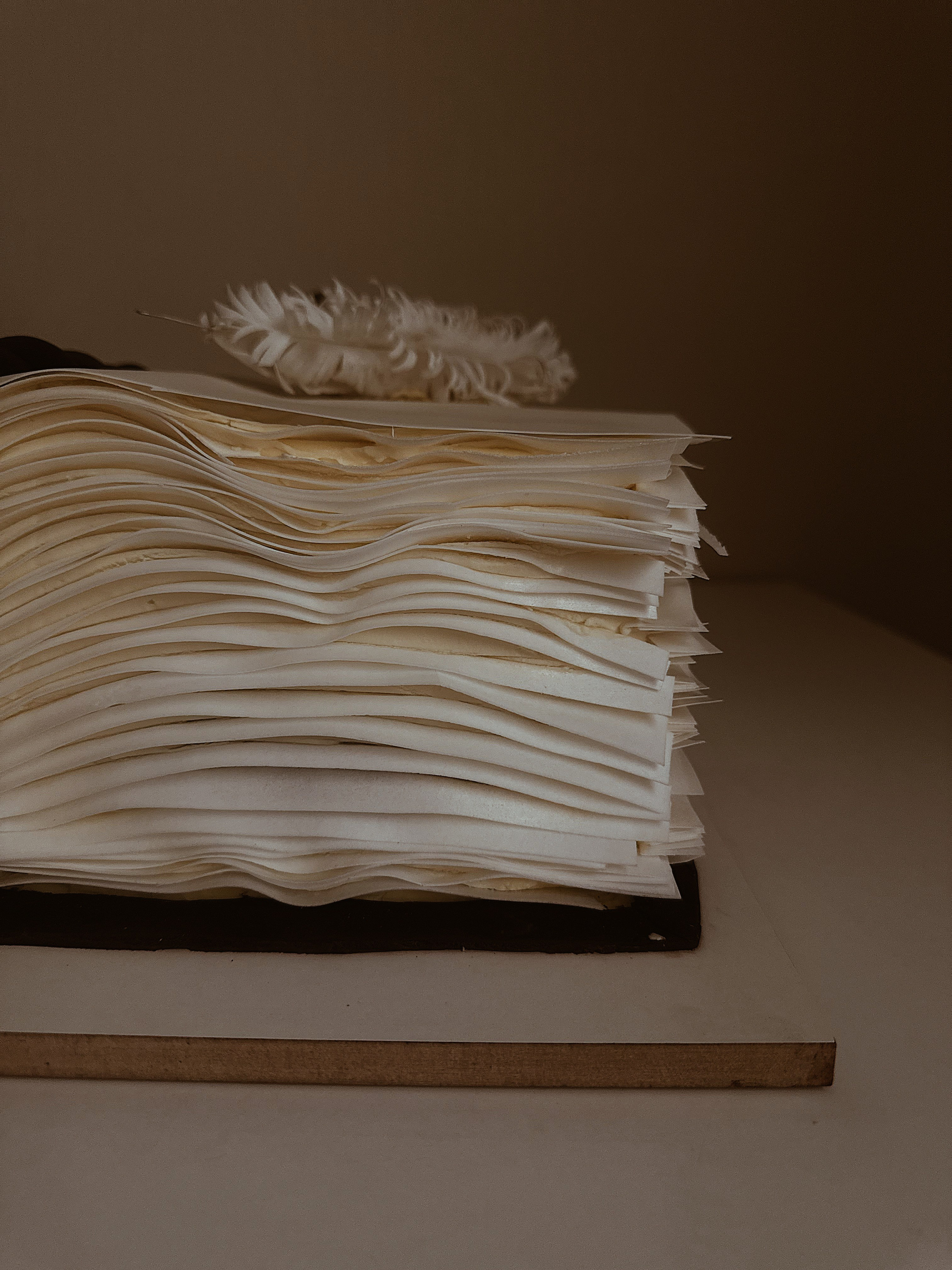 Торт-книга. Арт-кондитер в Москве Маша Шафран