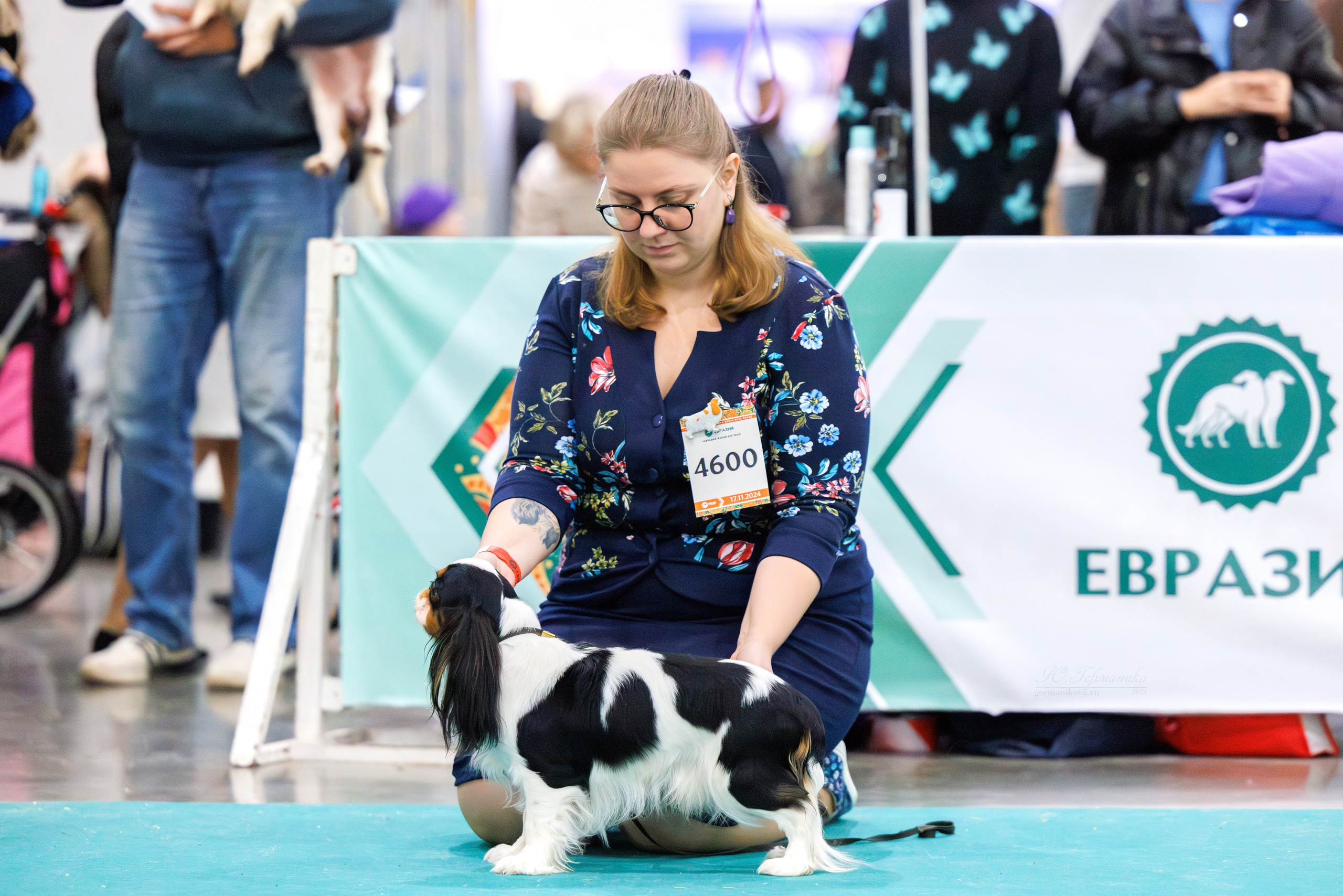 Евразия 16-17.11.2024. Фотограф-анималист Юлия Германика