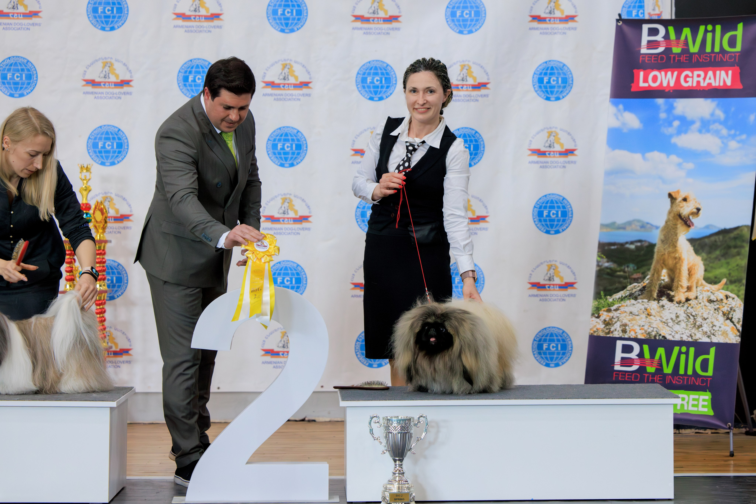 Ереван 2х CACIB 29-30.04.2025. Фотограф-анималист Юлия Германика