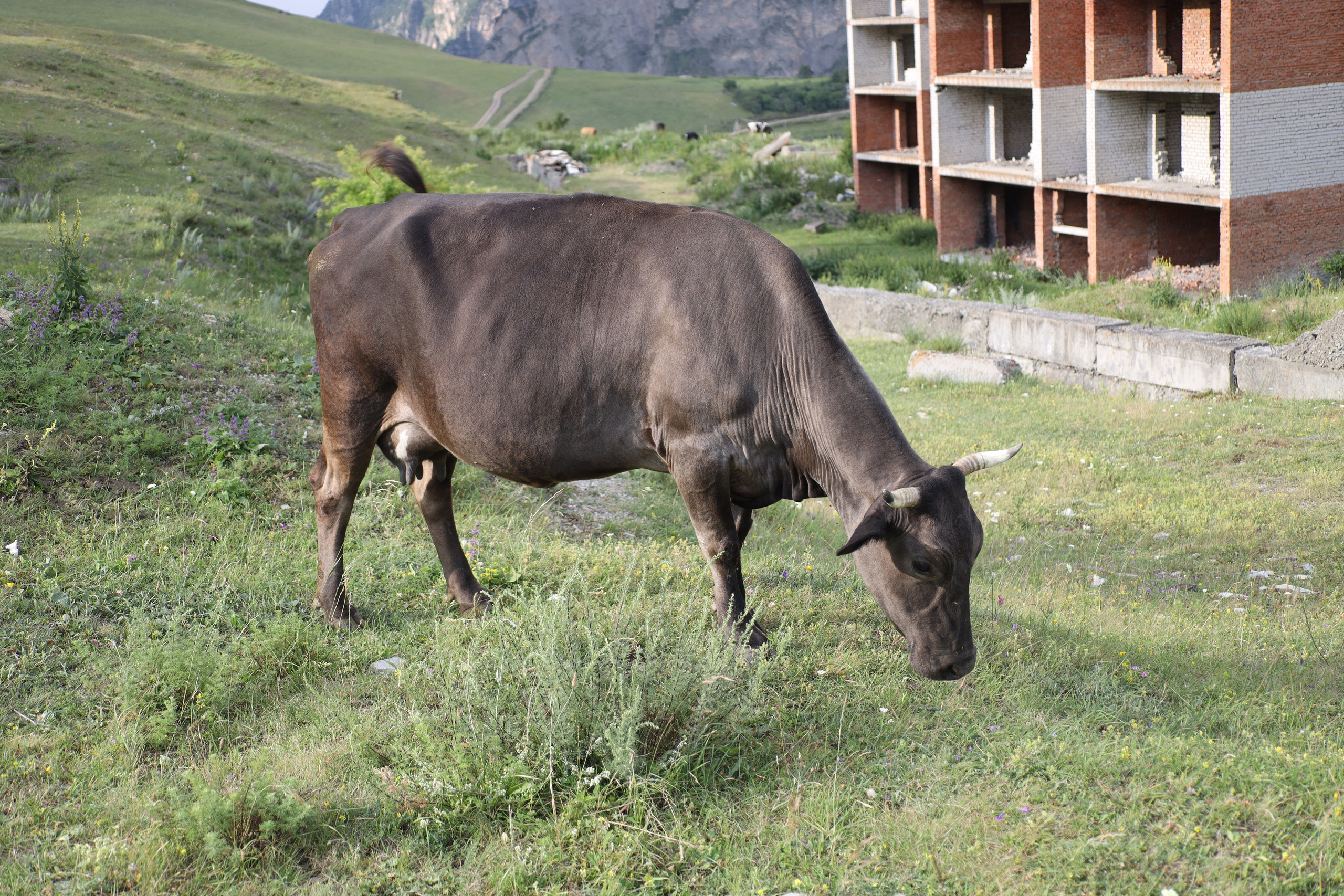 Северная Осетия июль 2025 год. Кармадон, Даргивз и Цей. Семейный детский фотограф Краснодарский край Оксана Колос