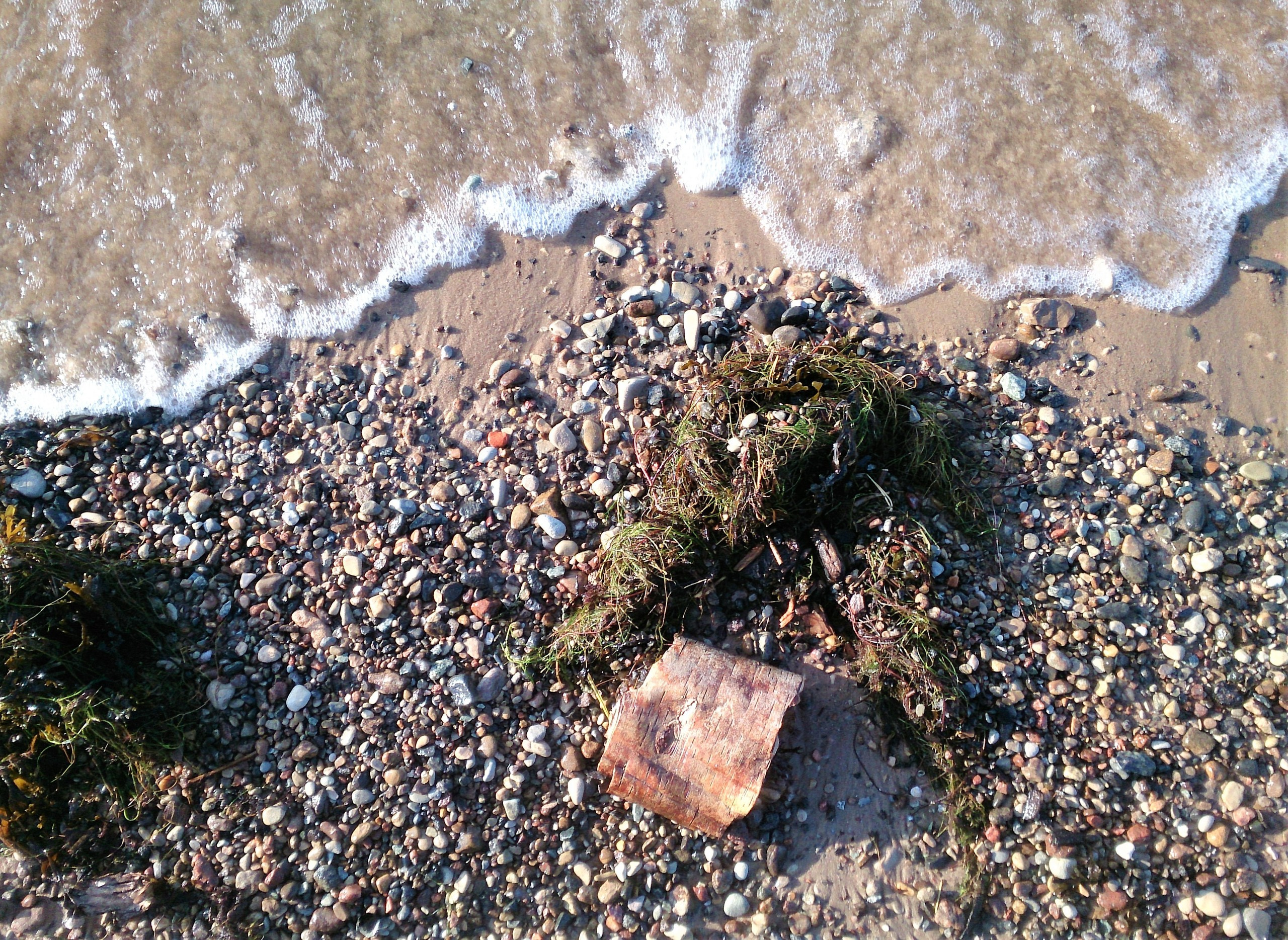 Salacgrīva / 2018 / Latvia. HOME