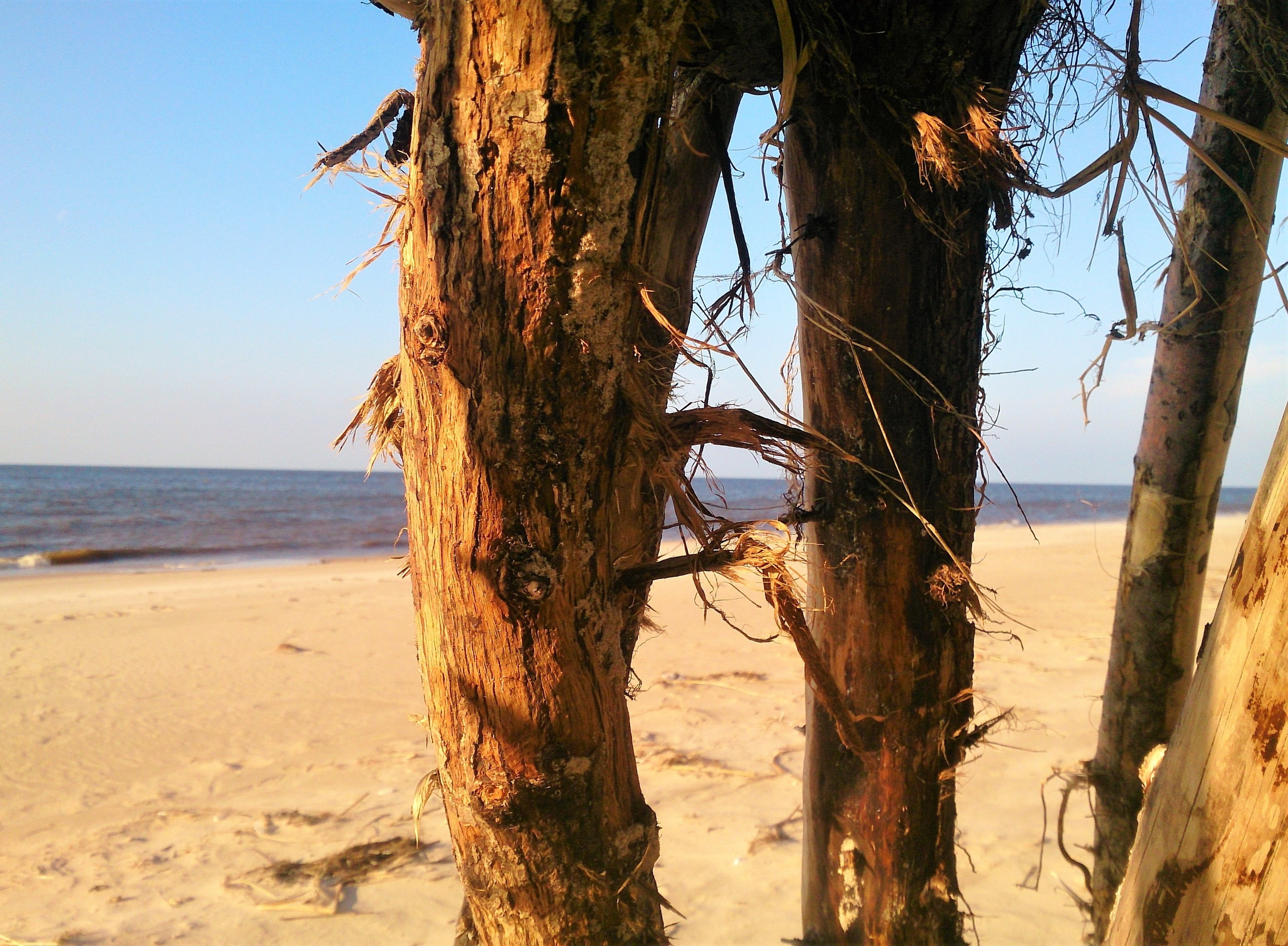 Salacgrīva / 2018 / Latvia. HOME