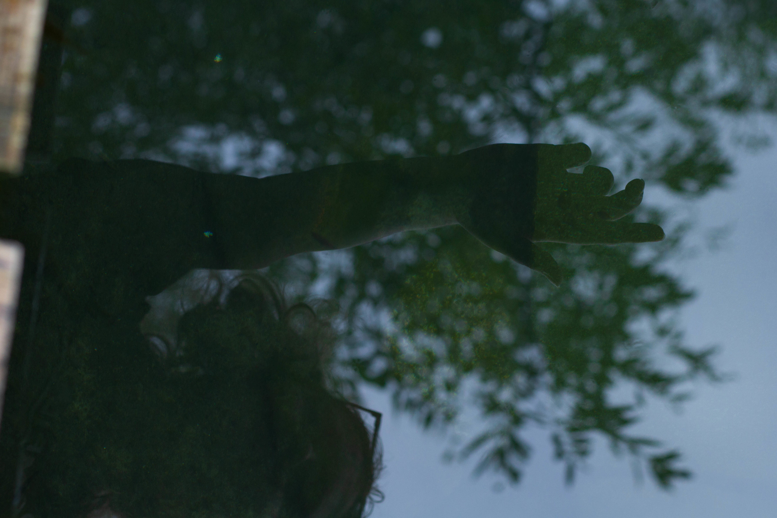 Krynitsa / 2019 -in the process. HOME