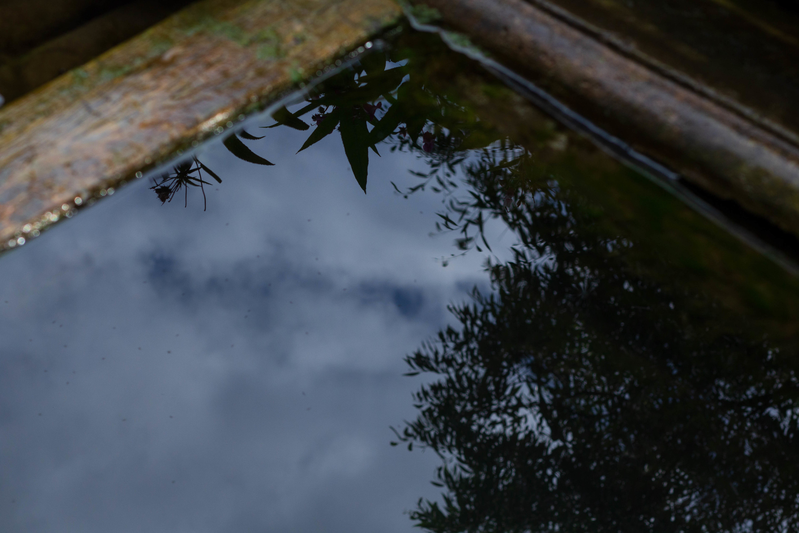 Krynitsa / 2019 -in the process. HOME