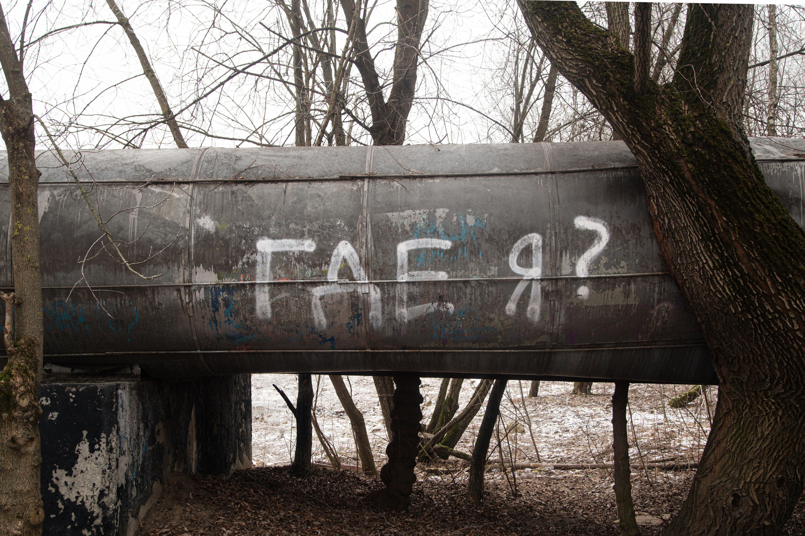 Воздух февраля. Dmitriy [KCCC] is a pretty cool photographer