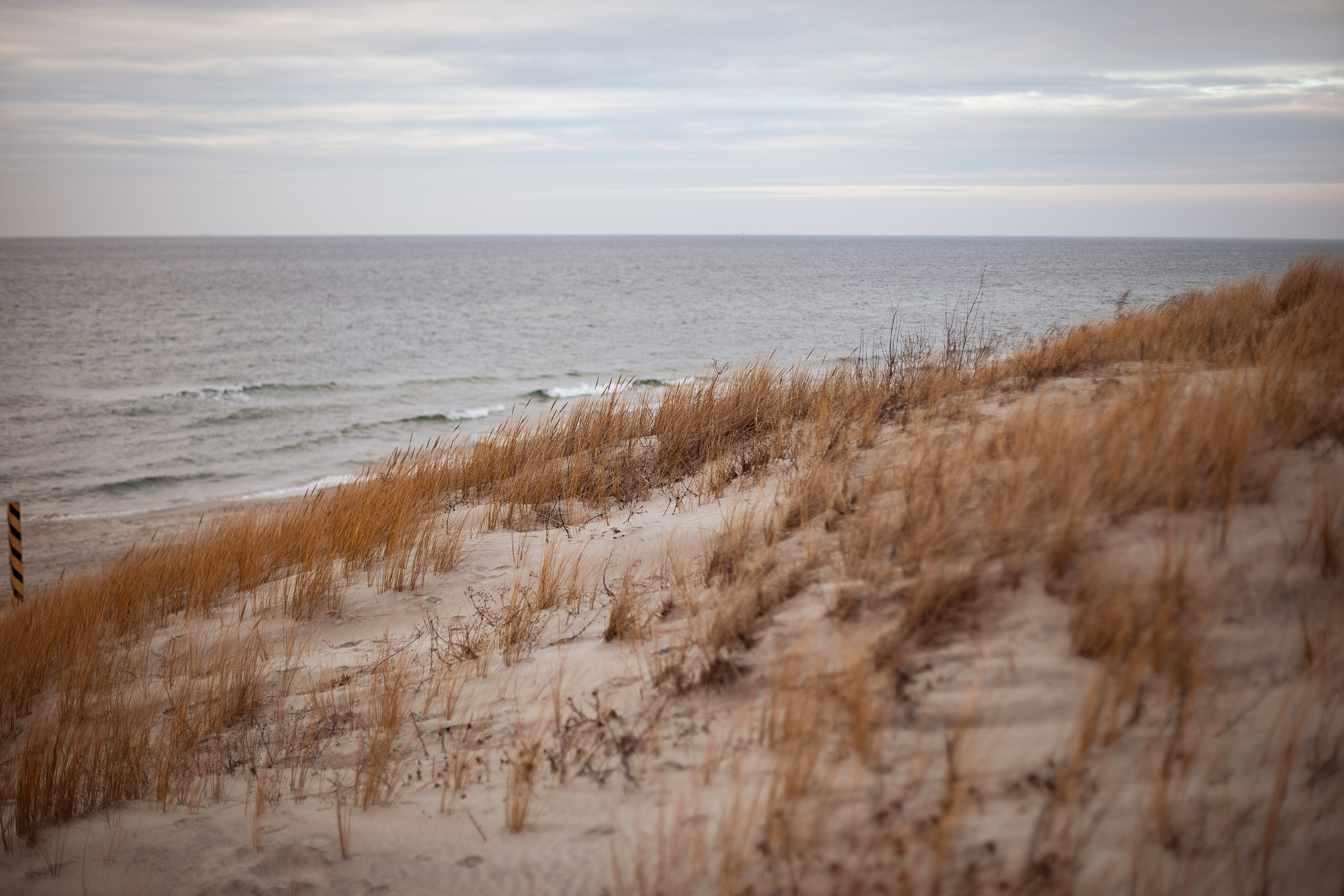 Балтика. Свадебный и семейный фотограф/видеограф в Краснодаре Наталья Осинская