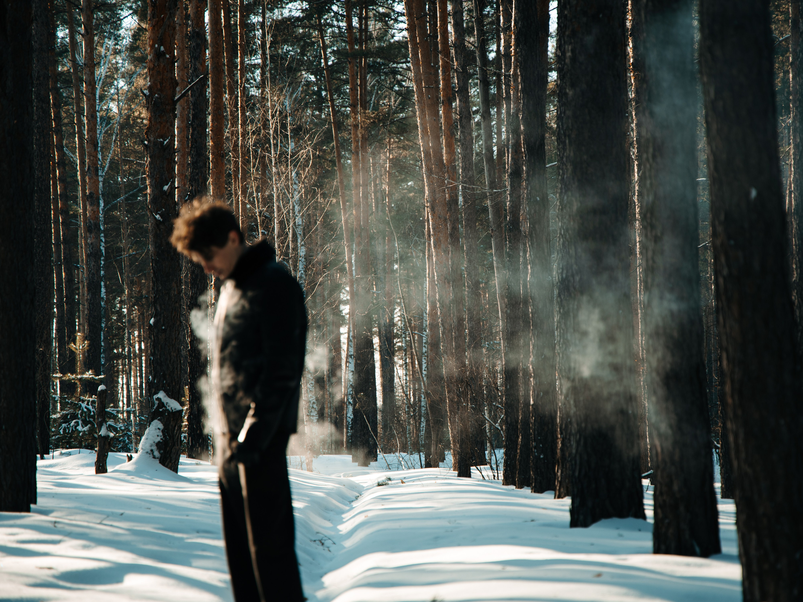 Чисто поле и лес. ElizabetArt — фотограф в Воронеже Елизавета Хлусова