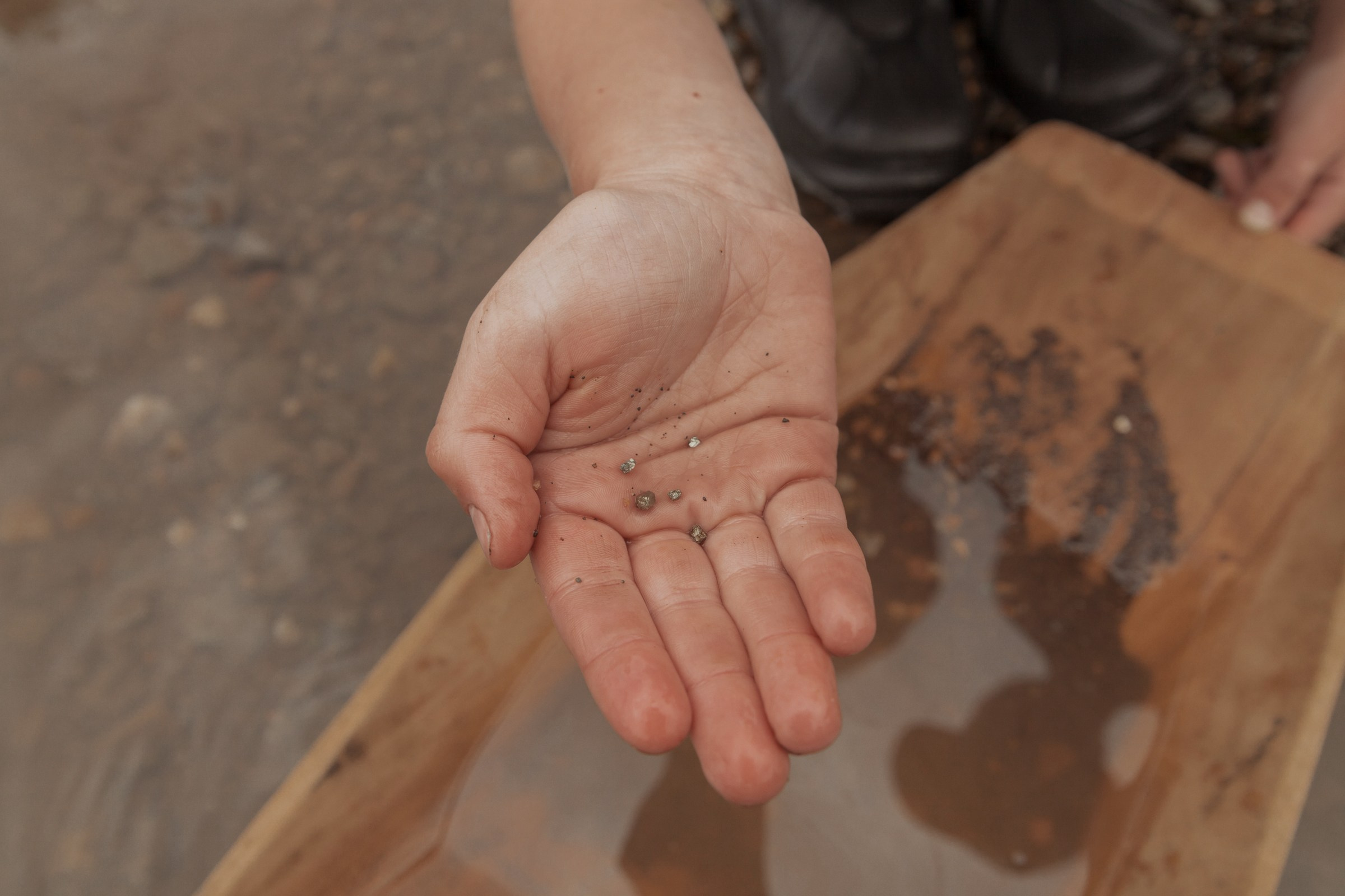 Золотоискатели. Детский и семейный фотограф в Бердске и Новосибирске Дарья Гребнева