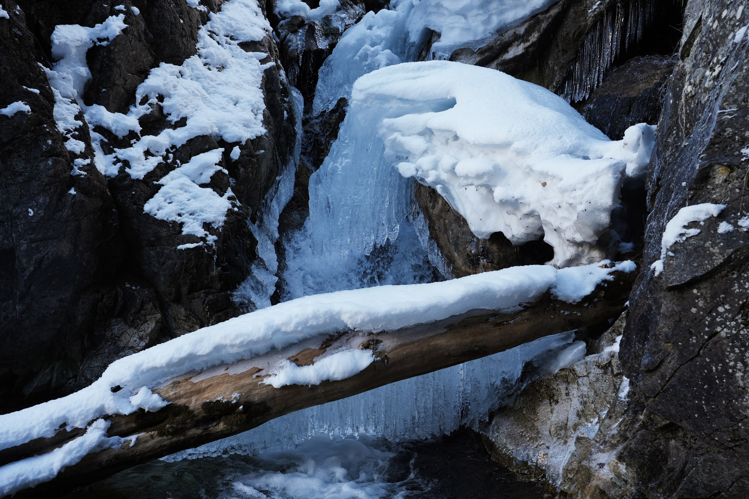 Кавказ. Анна Жукова — Режиссёр кино и цирка, сценарист, фотограф