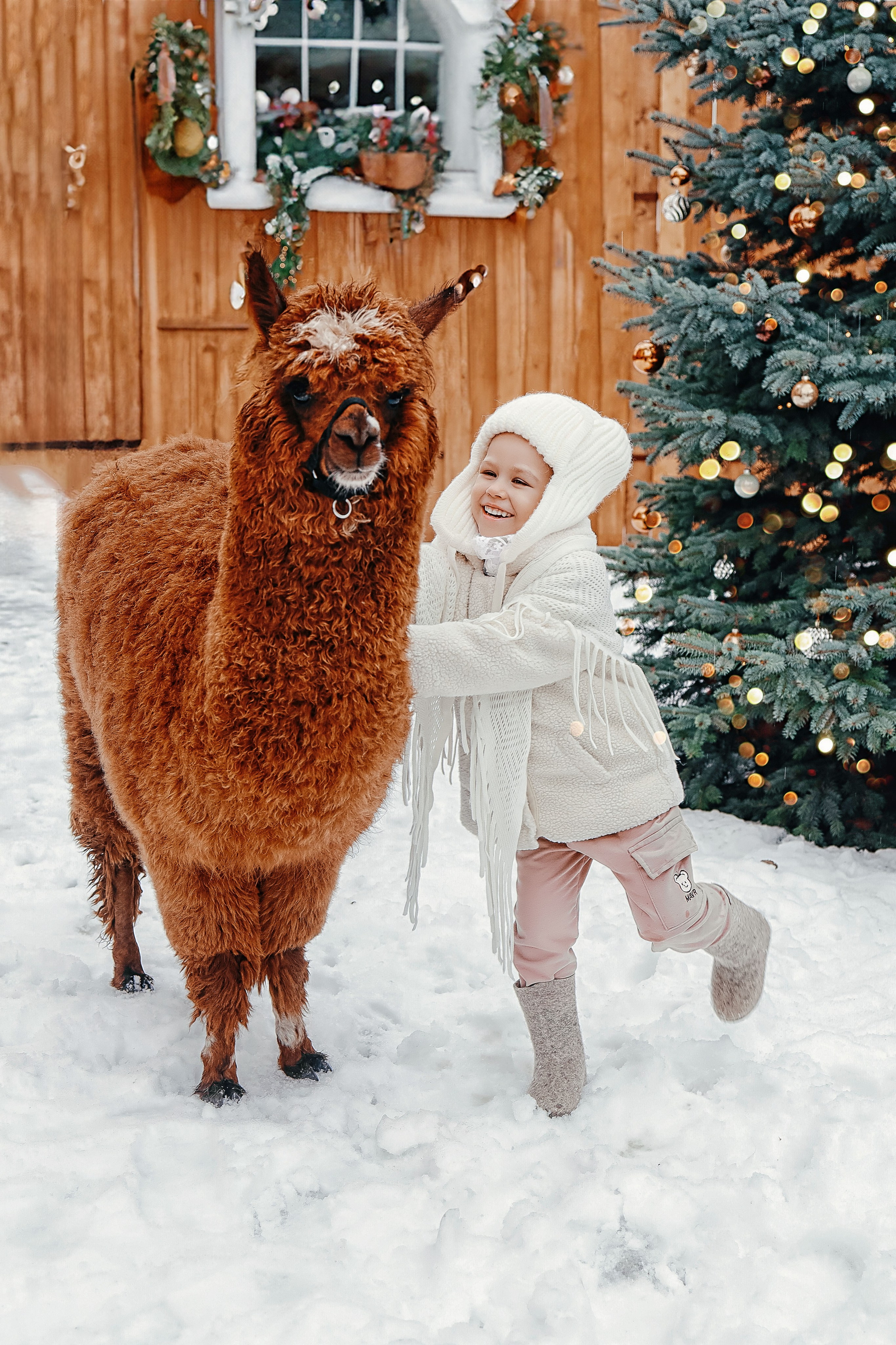 Фотосессия с Альпакой. Иванова Ирина Свадебный и семейный фотограф г. Уфа