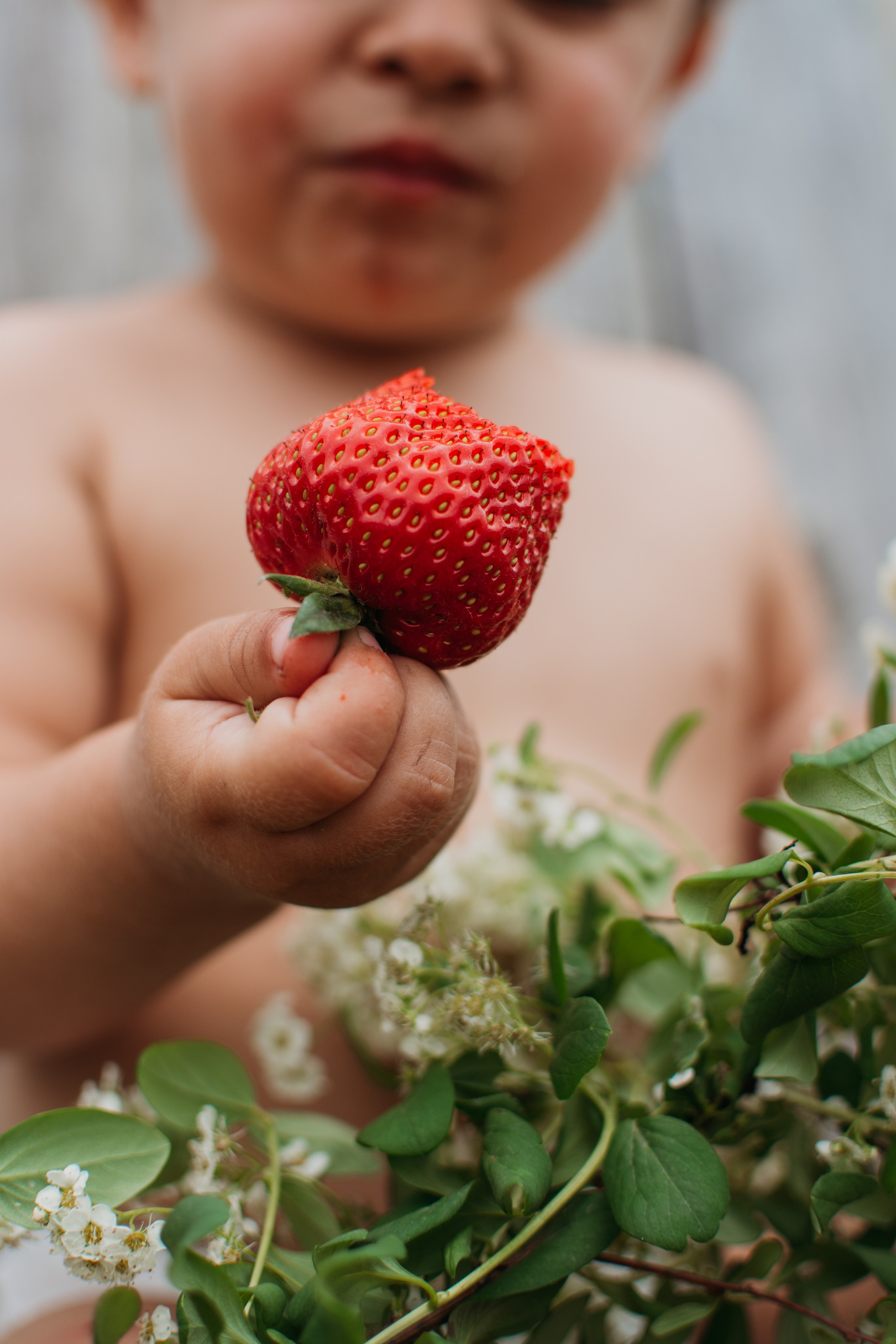 МАЛЕНЬКИЕ ДЕТКИ. Фотограф Владивосток Оля КРОКС