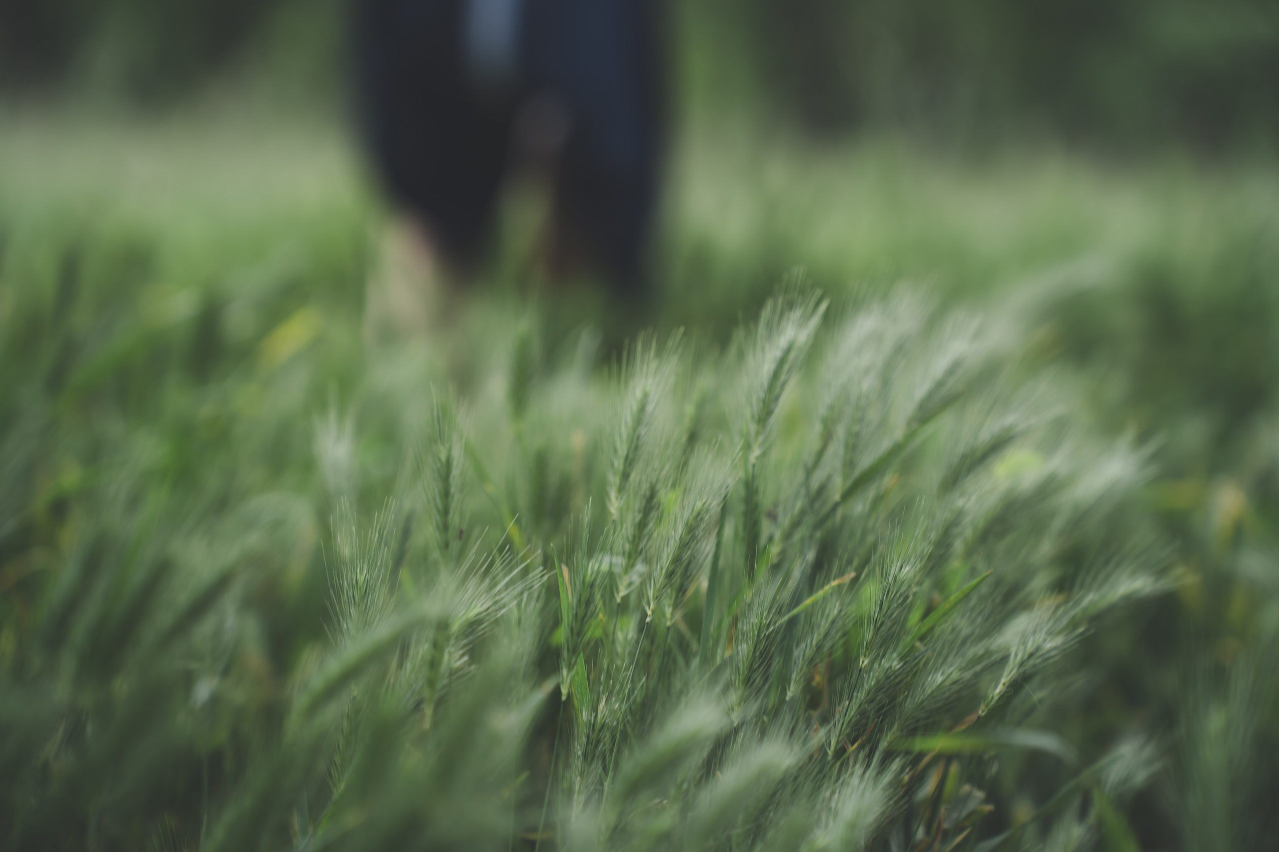 Творческие Проекты. Фото