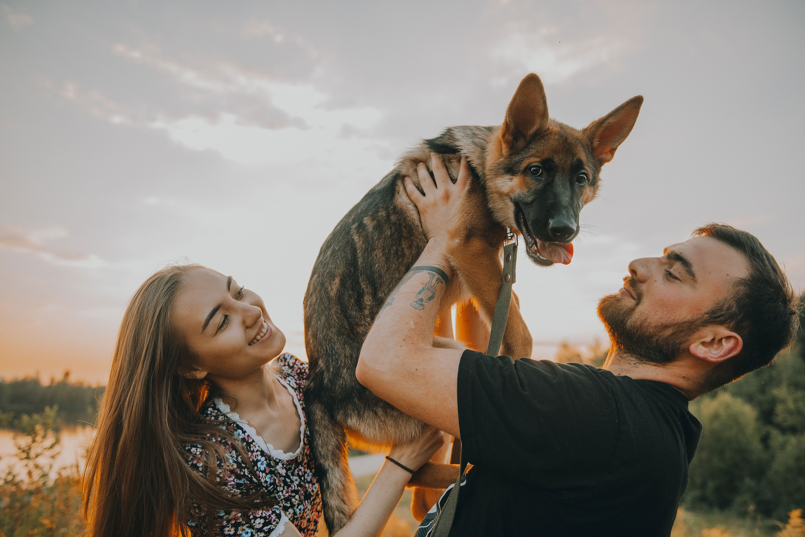 Эмир, Алсу и немецкая овчарка Рэй (Щелково, 2023). Анна Пушина, фотограф, Москва, Королев, Пушкино