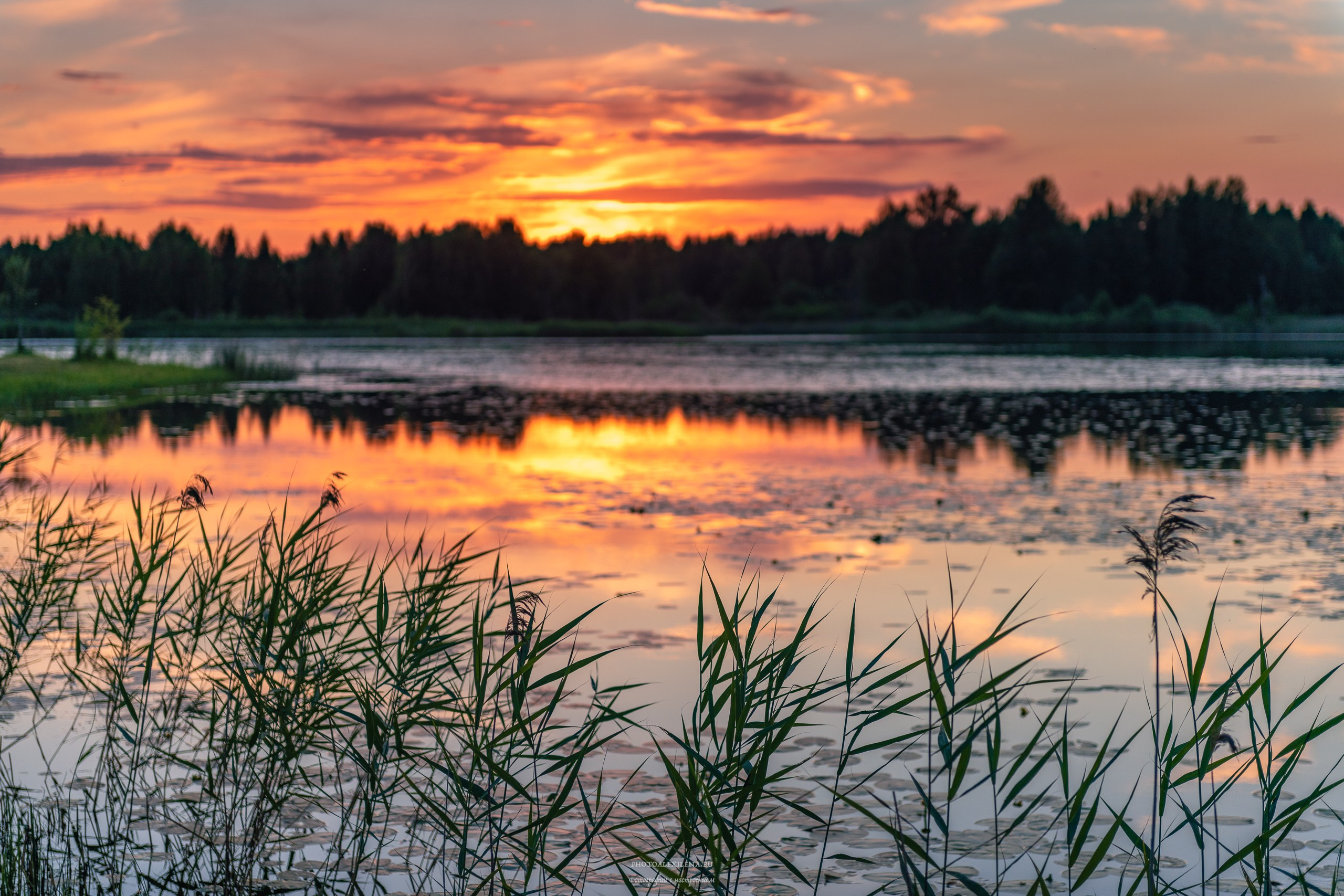 Пейзажная фотография. Авторские стильные фотокартины