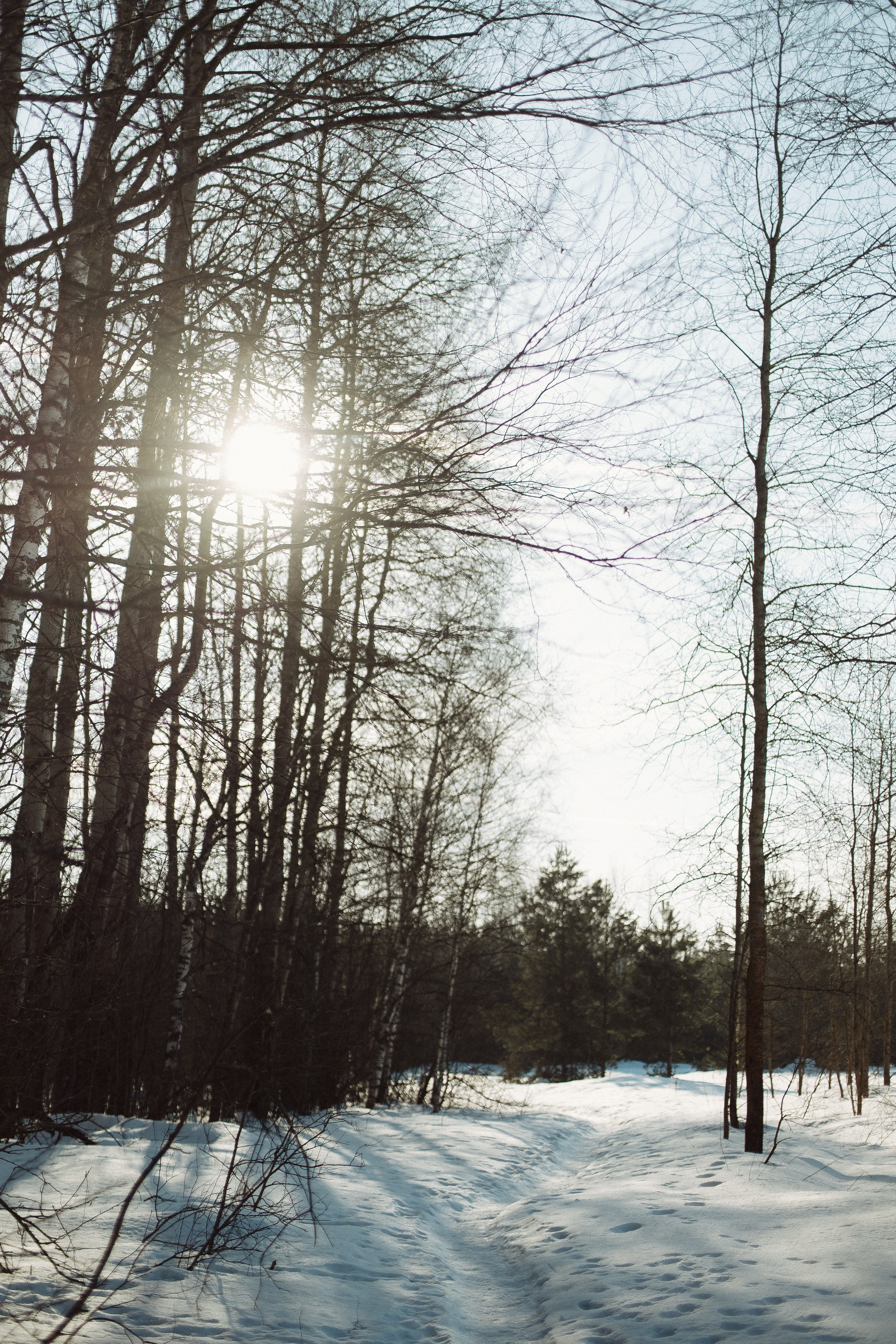 Экопарк ПОЛЯНЫ. Главная