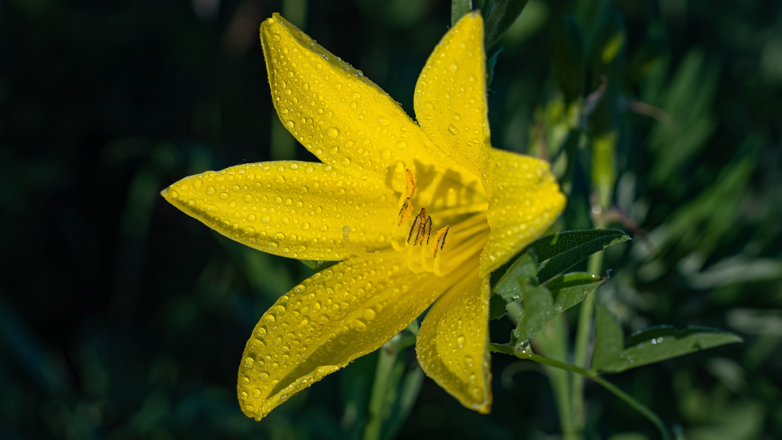 Портфолио. Фотограф и видеограф, видеомонтаж в Амурской области Игорь Иванов