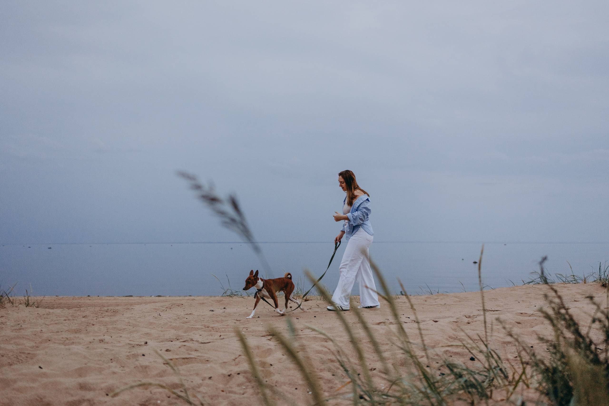 Даша и Арчи. Фотограф — Анималист | Санкт-Петербург